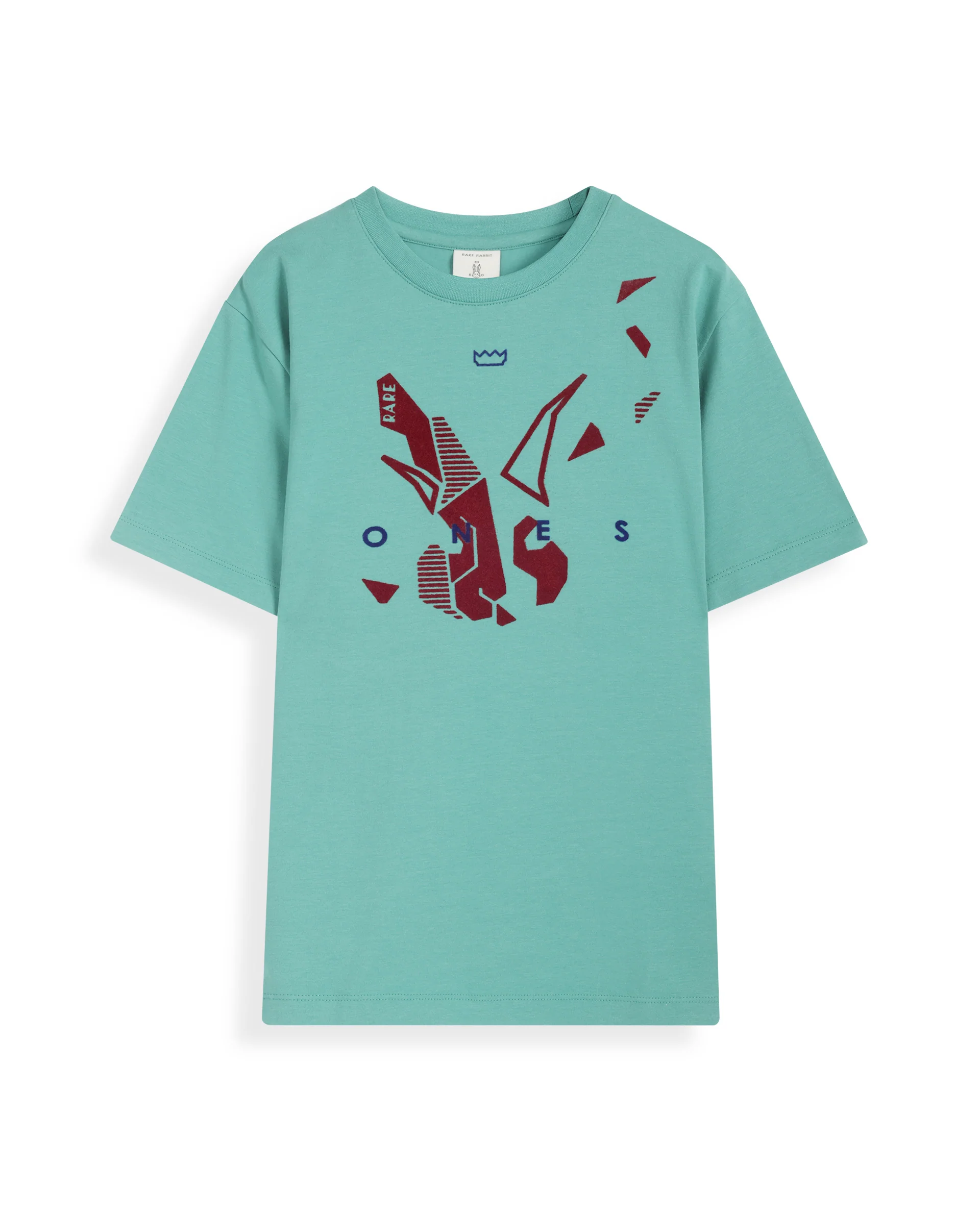 Rare Ones Kids Div Green Cotton Half Sleeves Crew Neck Regular Fit Graphic Print T-Shirt - Image 2