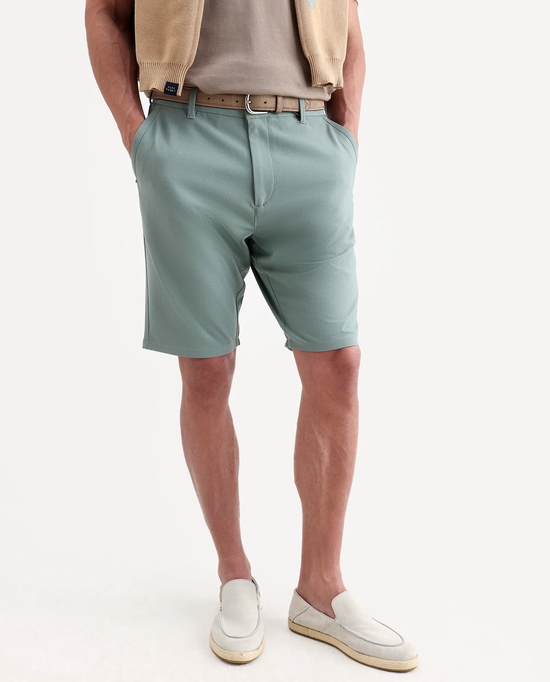Rare Rabbit Men's Drivo-Ss26 Dusky Green Polyester Blend Fabric Regular Fit Plain Shorts - Image 3