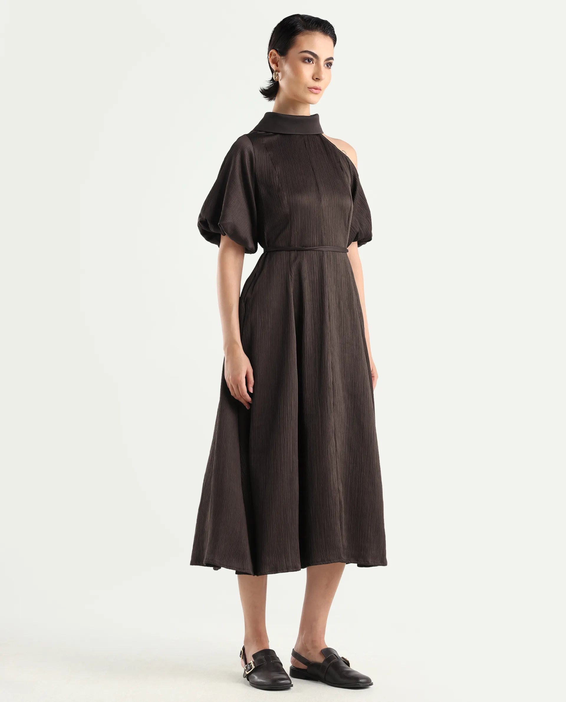 Rareism Women's Duchy Brown Polyester Turtle Neck Plain Balloon Sleeve Midi Flared Dress - Image 6