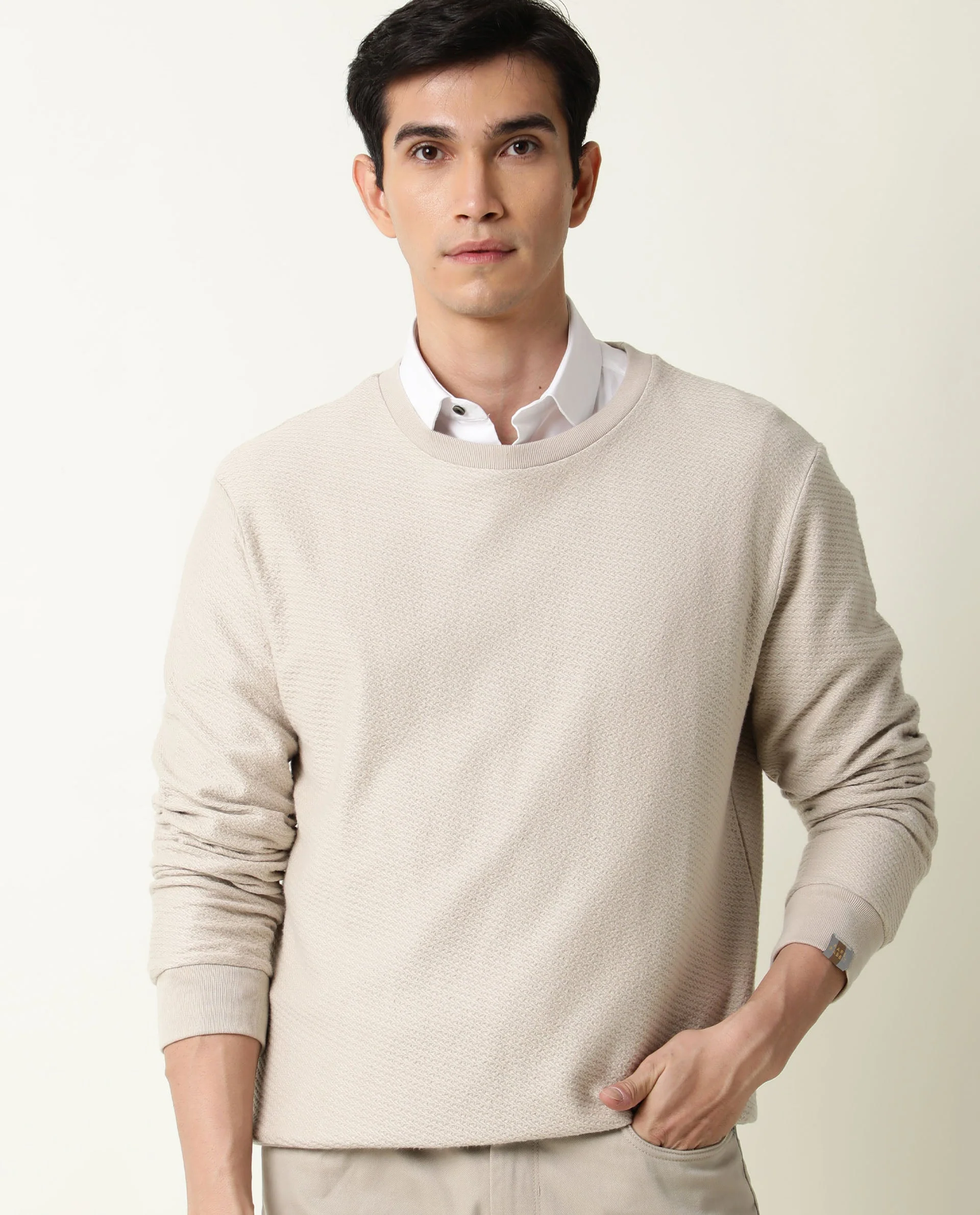 Rare Rabbit Men's Earl Beige Cotton Plain Slim Fit Full Sleeve Crew Neck Sweatshirt - Image 4