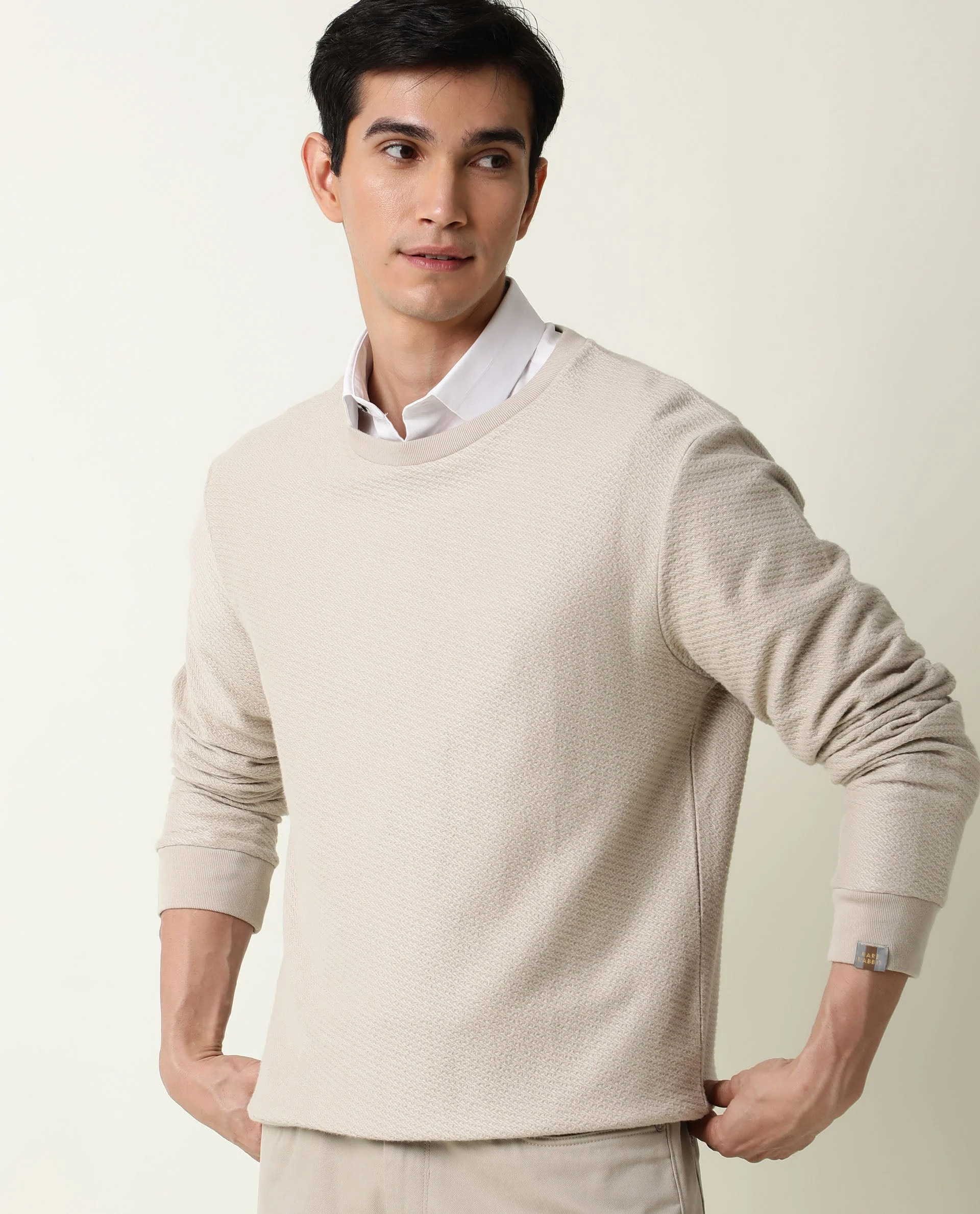 Rare Rabbit Men's Earl Beige Cotton Plain Slim Fit Full Sleeve Crew Neck Sweatshirt - Image 5