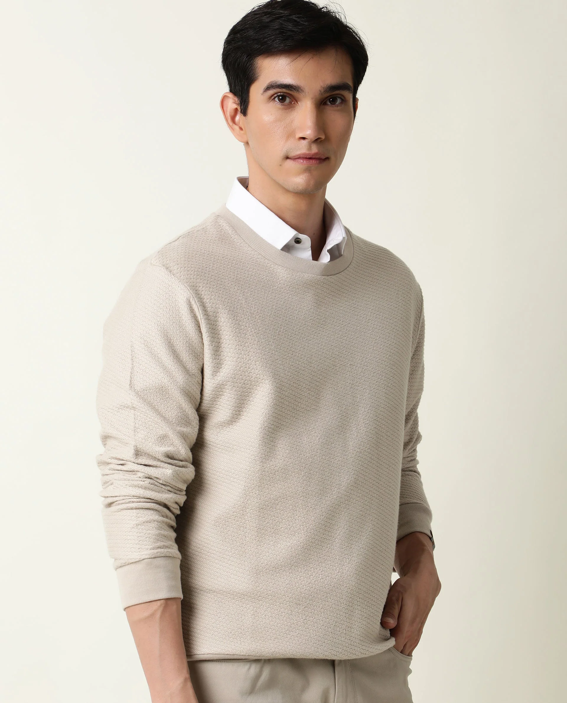 Rare Rabbit Men's Earl Beige Cotton Plain Slim Fit Full Sleeve Crew Neck Sweatshirt - Image 6