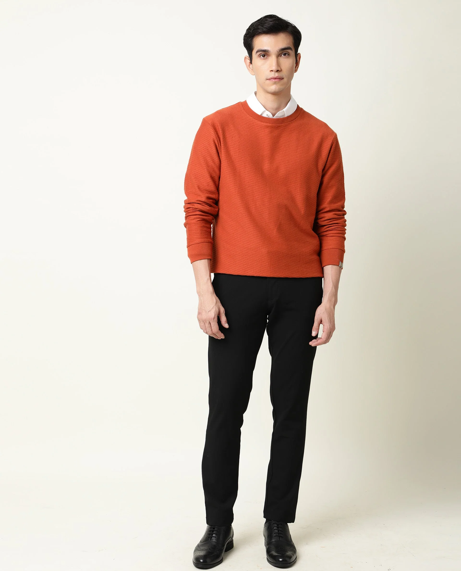 Rare Rabbit Men's Earl Rust Cotton Textured Regular Fit Full Sleeve Crew Neck Sweatshirt - Image 2