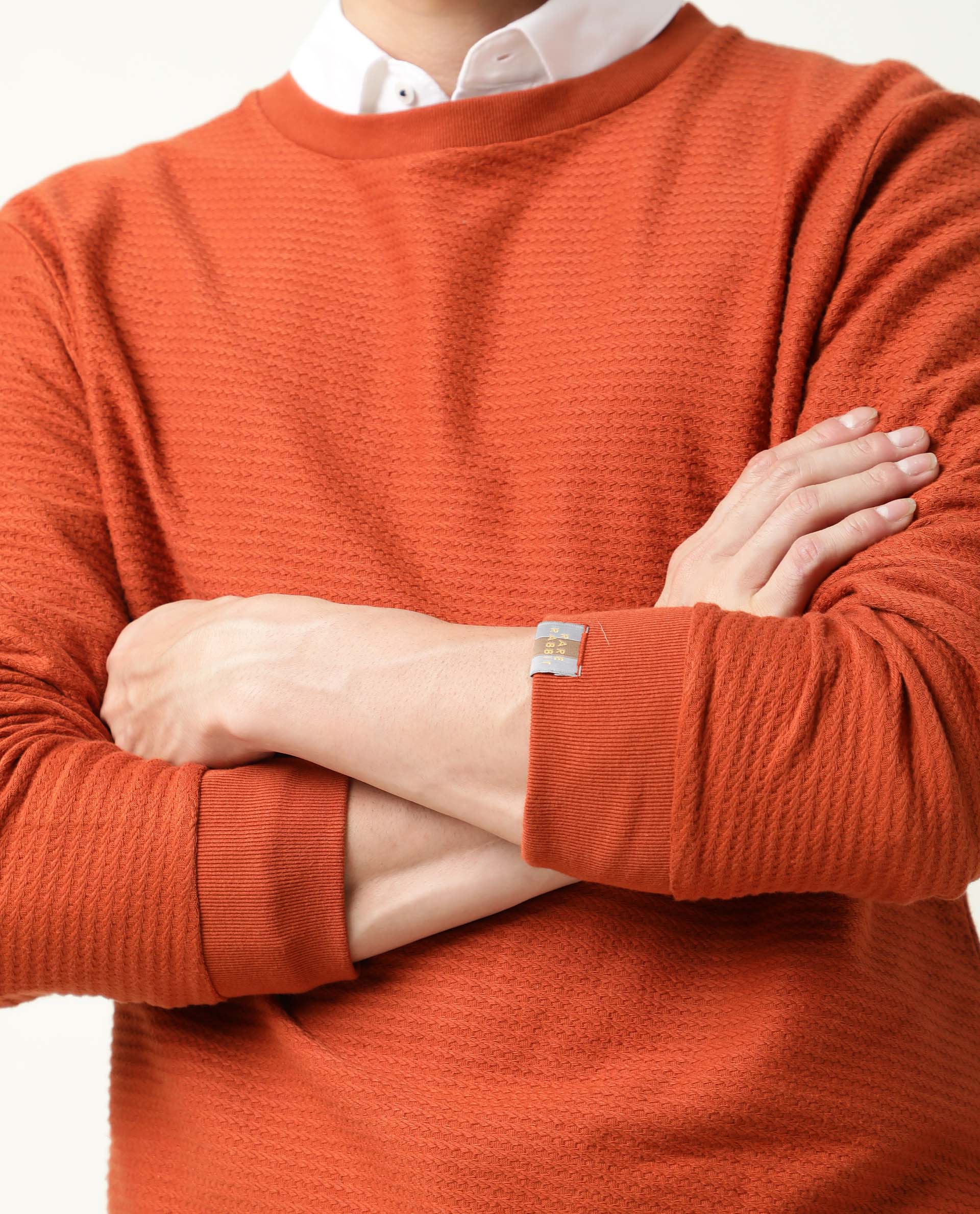 Rare Rabbit Men's Earl Rust Cotton Textured Regular Fit Full Sleeve Crew Neck Sweatshirt - Image 3