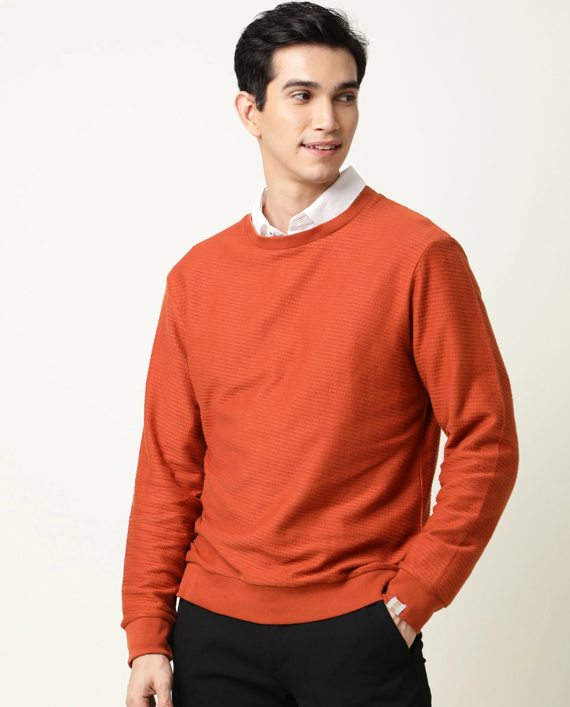 Rare Rabbit Men's Earl Rust Cotton Textured Regular Fit Full Sleeve Crew Neck Sweatshirt - Image 4
