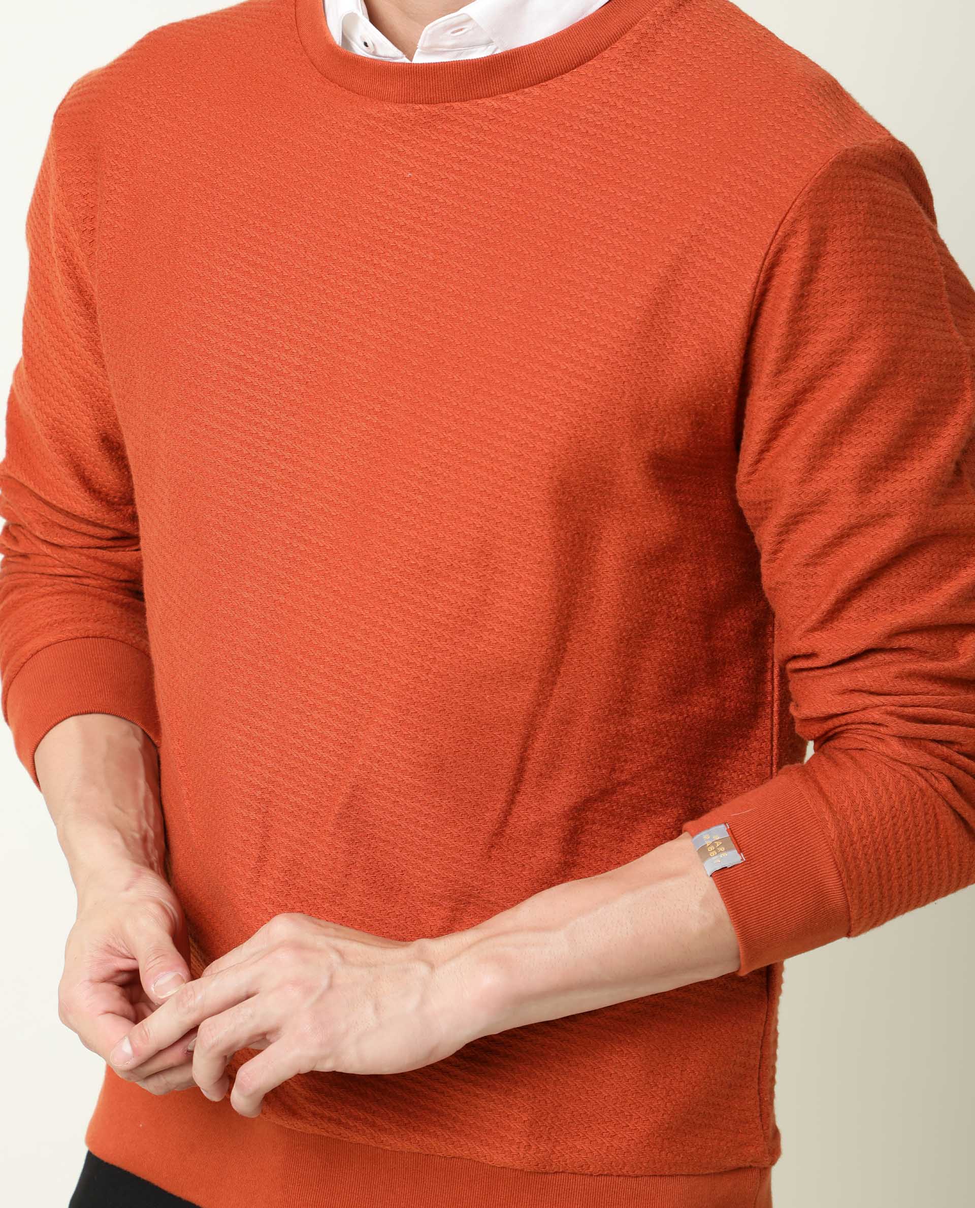 Rare Rabbit Men's Earl Rust Cotton Textured Regular Fit Full Sleeve Crew Neck Sweatshirt - Image 5