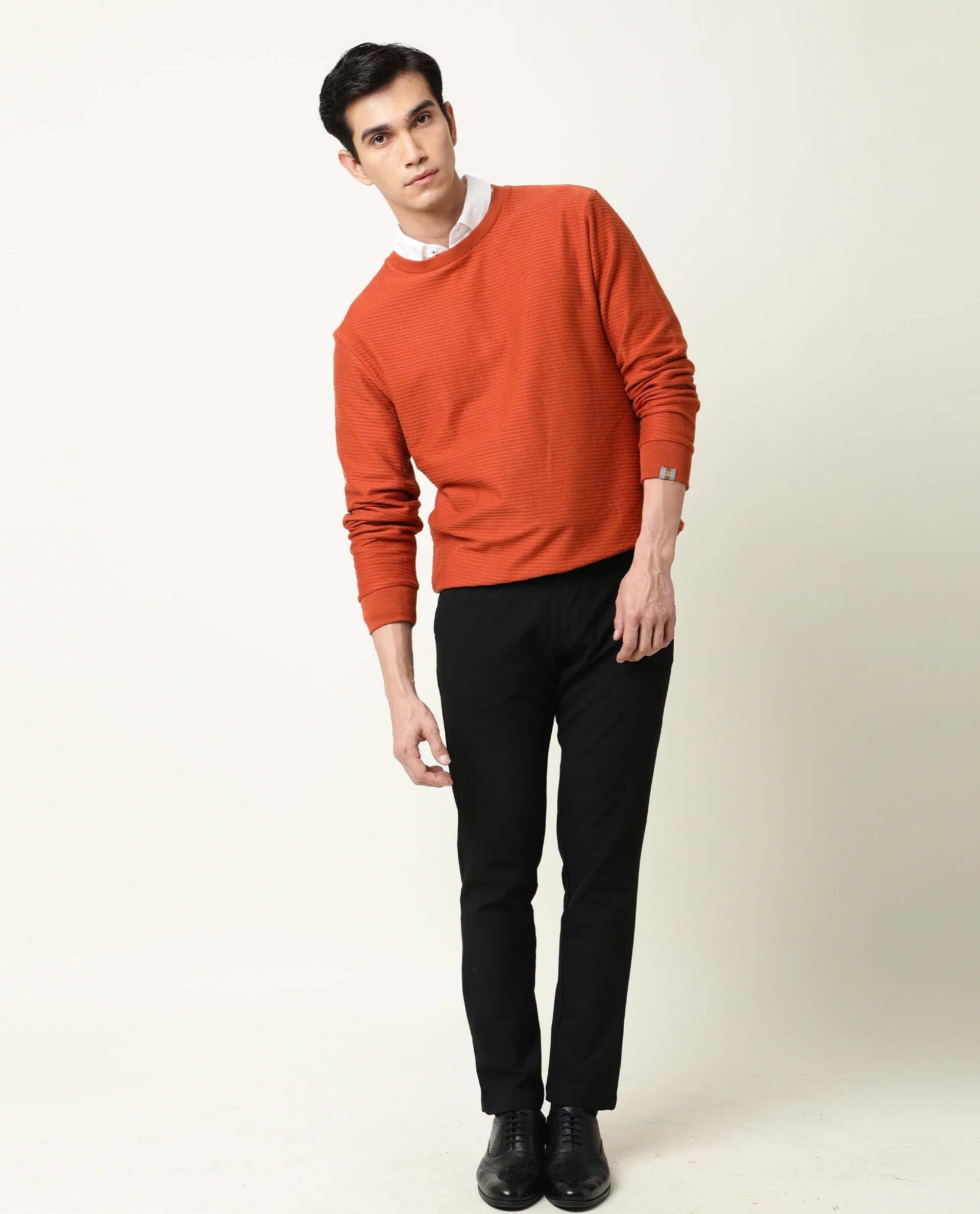 Rare Rabbit Men's Earl Rust Cotton Textured Regular Fit Full Sleeve Crew Neck Sweatshirt - Image 6