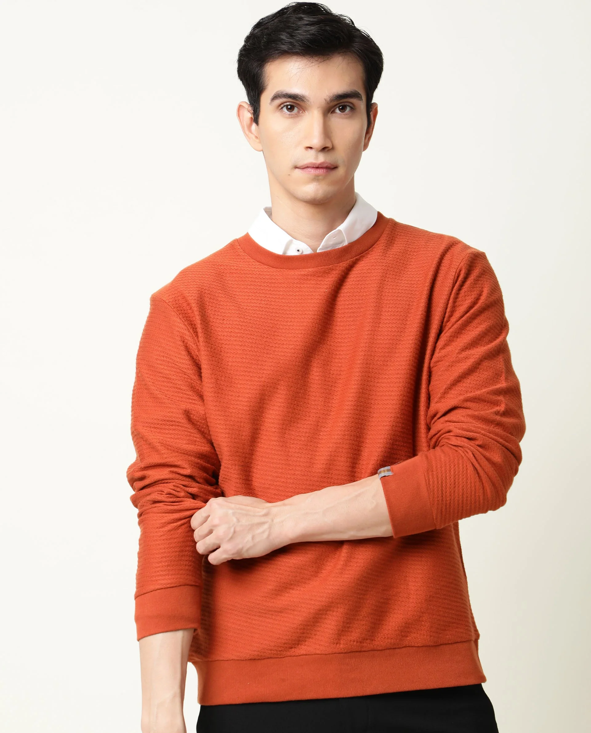 Rare Rabbit Men's Earl Rust Cotton Textured Regular Fit Full Sleeve Crew Neck Sweatshirt - Image 7