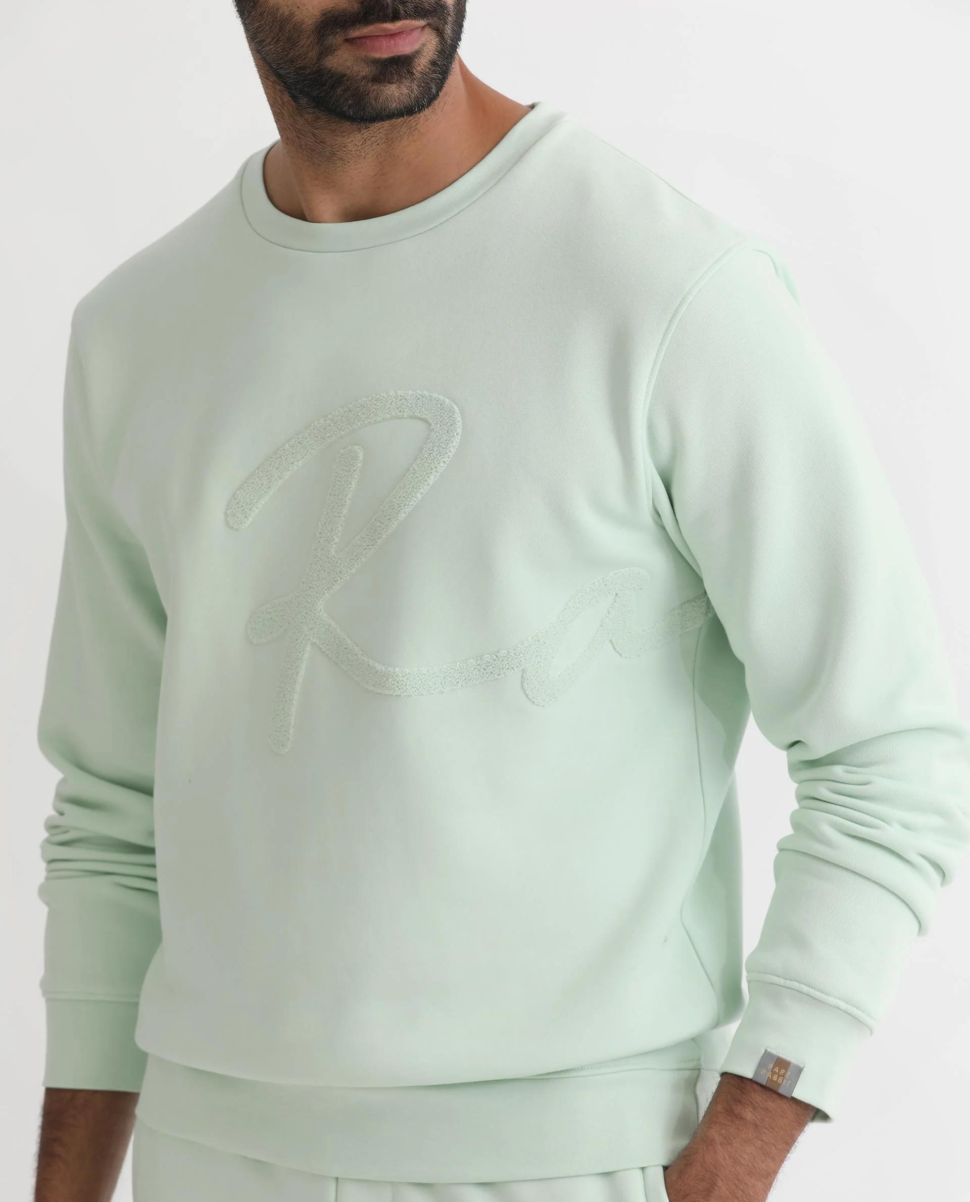 Rare Rabbit Men's East Light Green Cotton Embroidered Regular Fit Full Sleeve Crew Neck Sweatshirt - Image 7