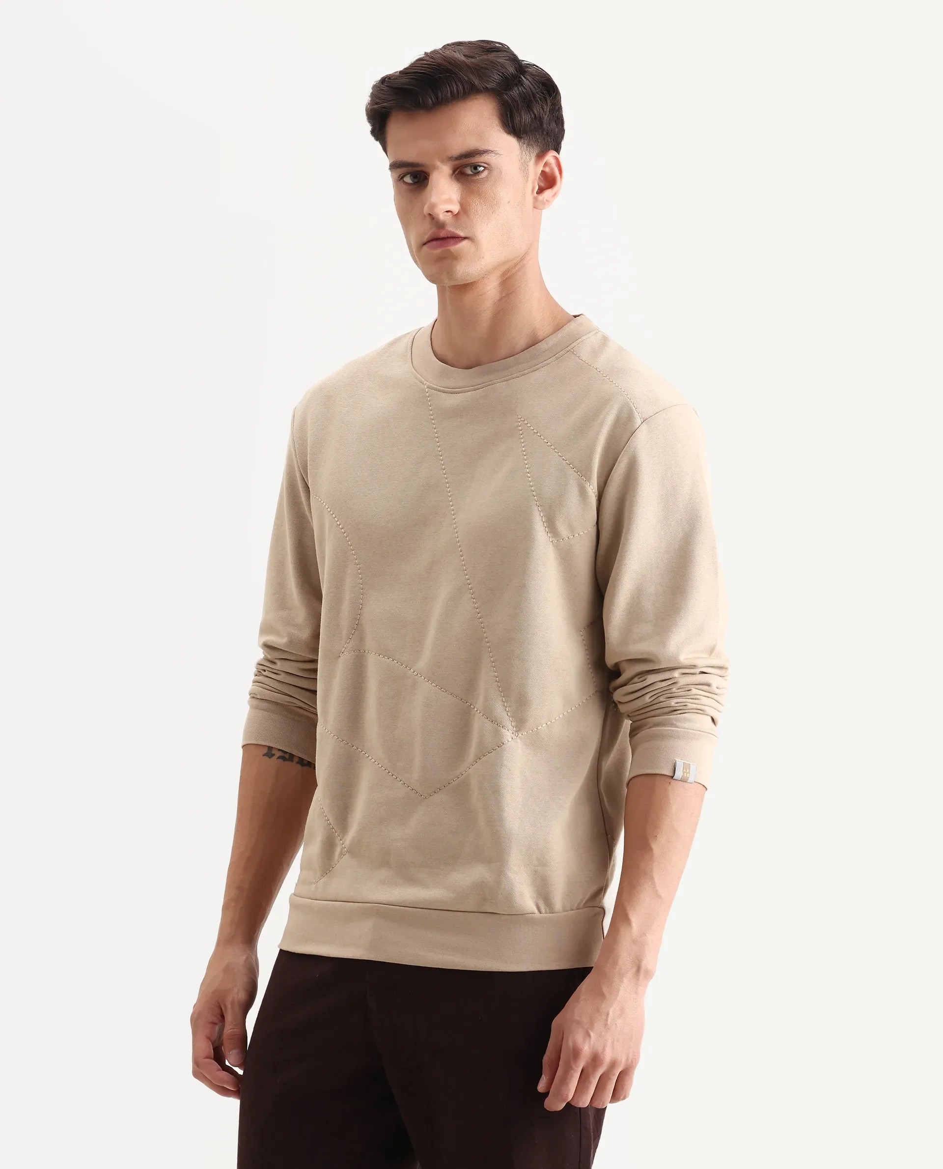Rare Rabbit Men's Eldron Dusky Beige Cotton Embroidered Regular Fit Full Sleeve Crew Neck Sweatshirt - Image 5