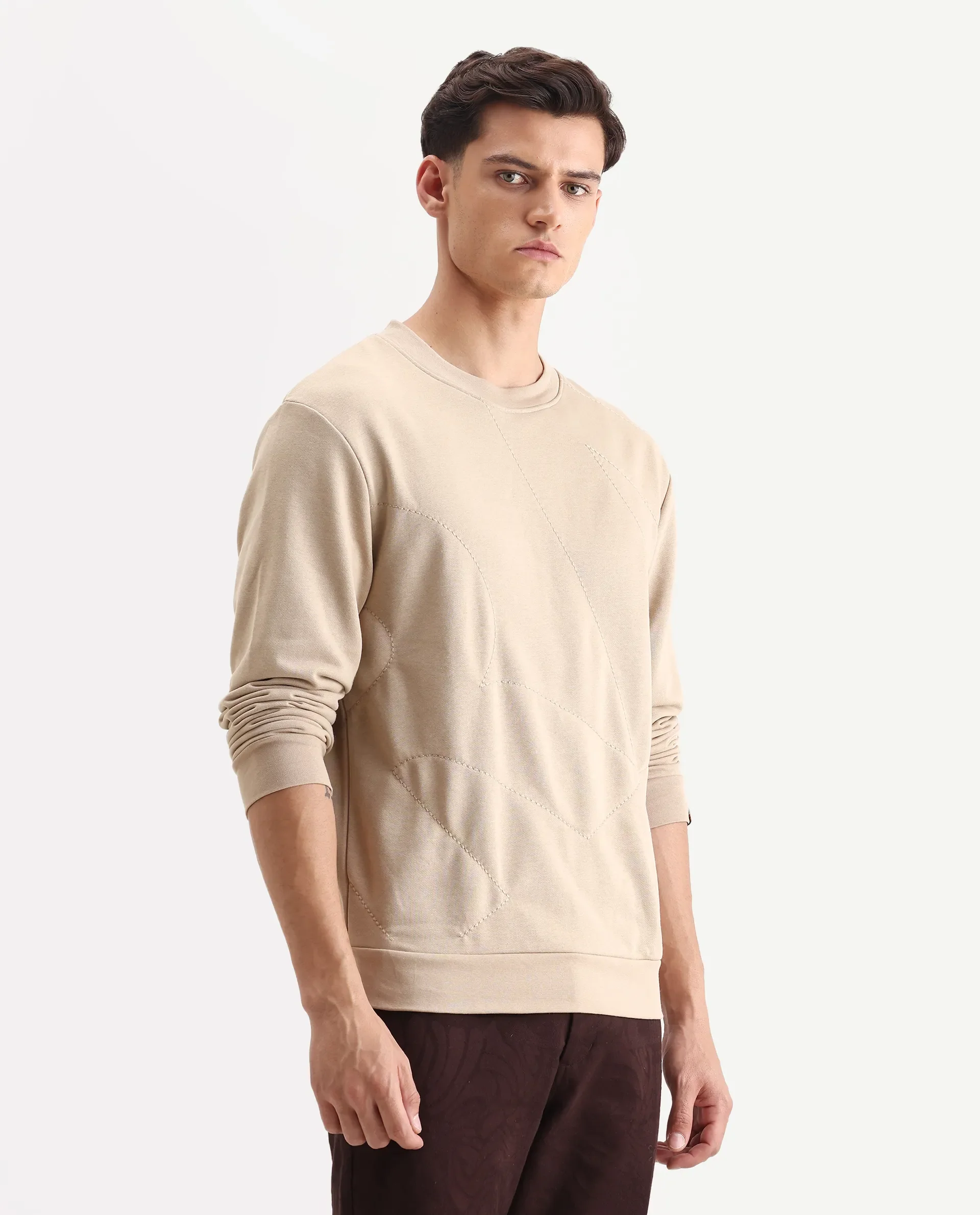 Rare Rabbit Men's Eldron Dusky Beige Cotton Embroidered Regular Fit Full Sleeve Crew Neck Sweatshirt - Image 6