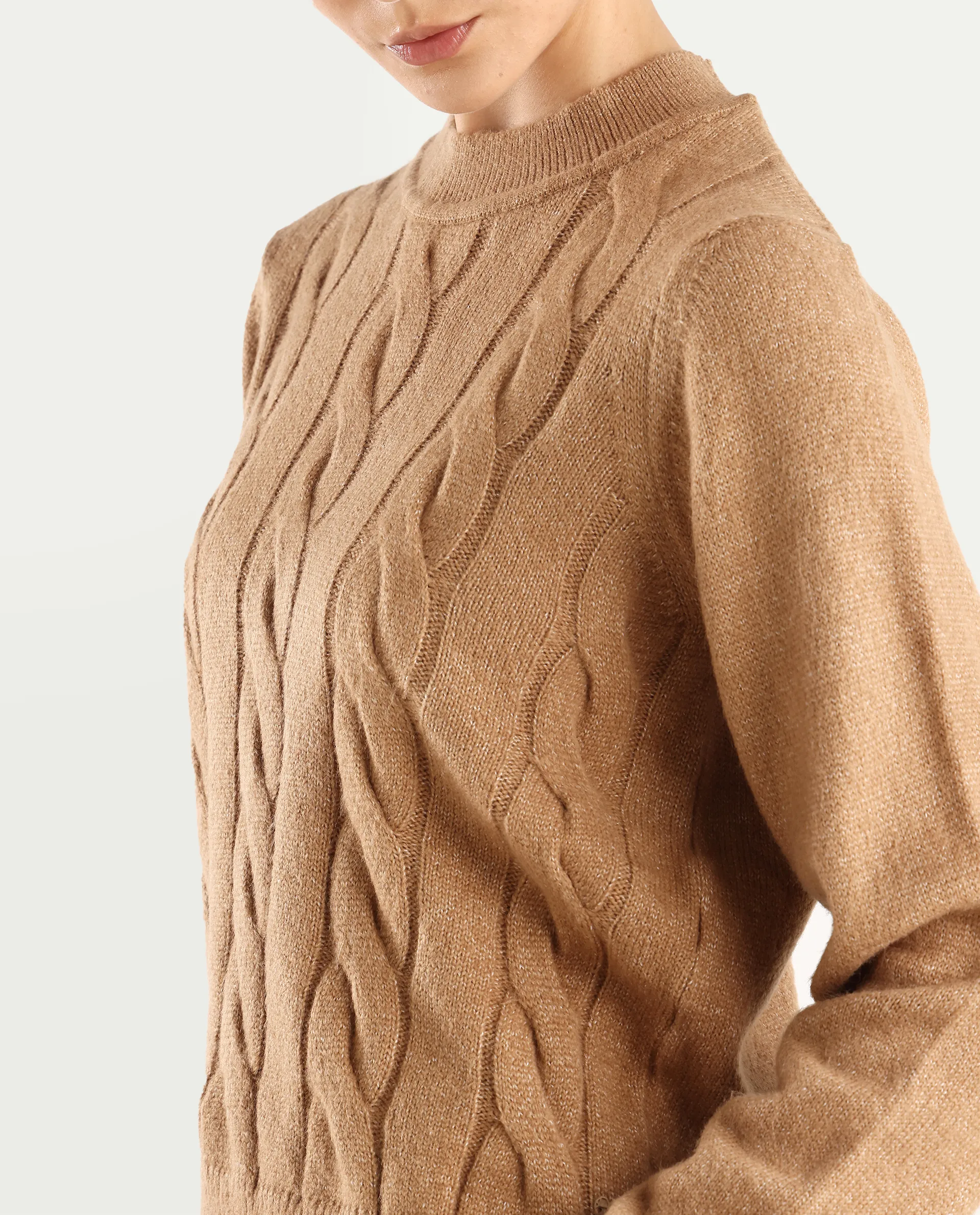 Rareism Women's Emm Camel Acrylic Crew Neck Plain Regular Fit Sweater - Image 5