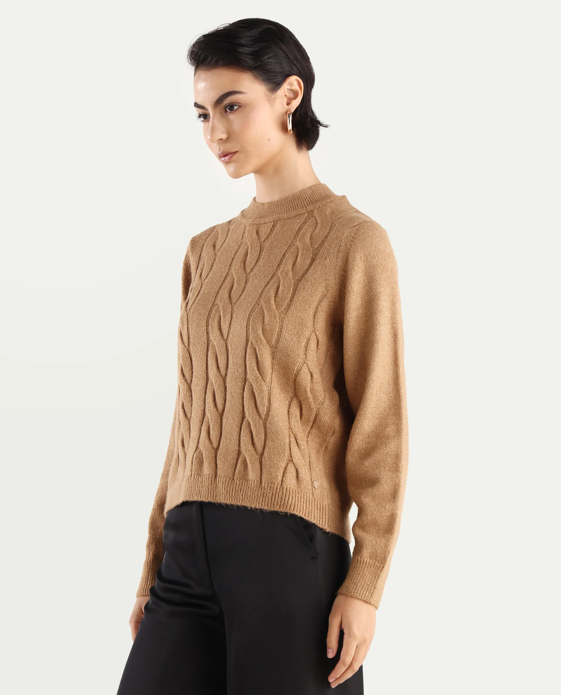 Rareism Women's Emm Camel Acrylic Crew Neck Plain Regular Fit Sweater - Image 6