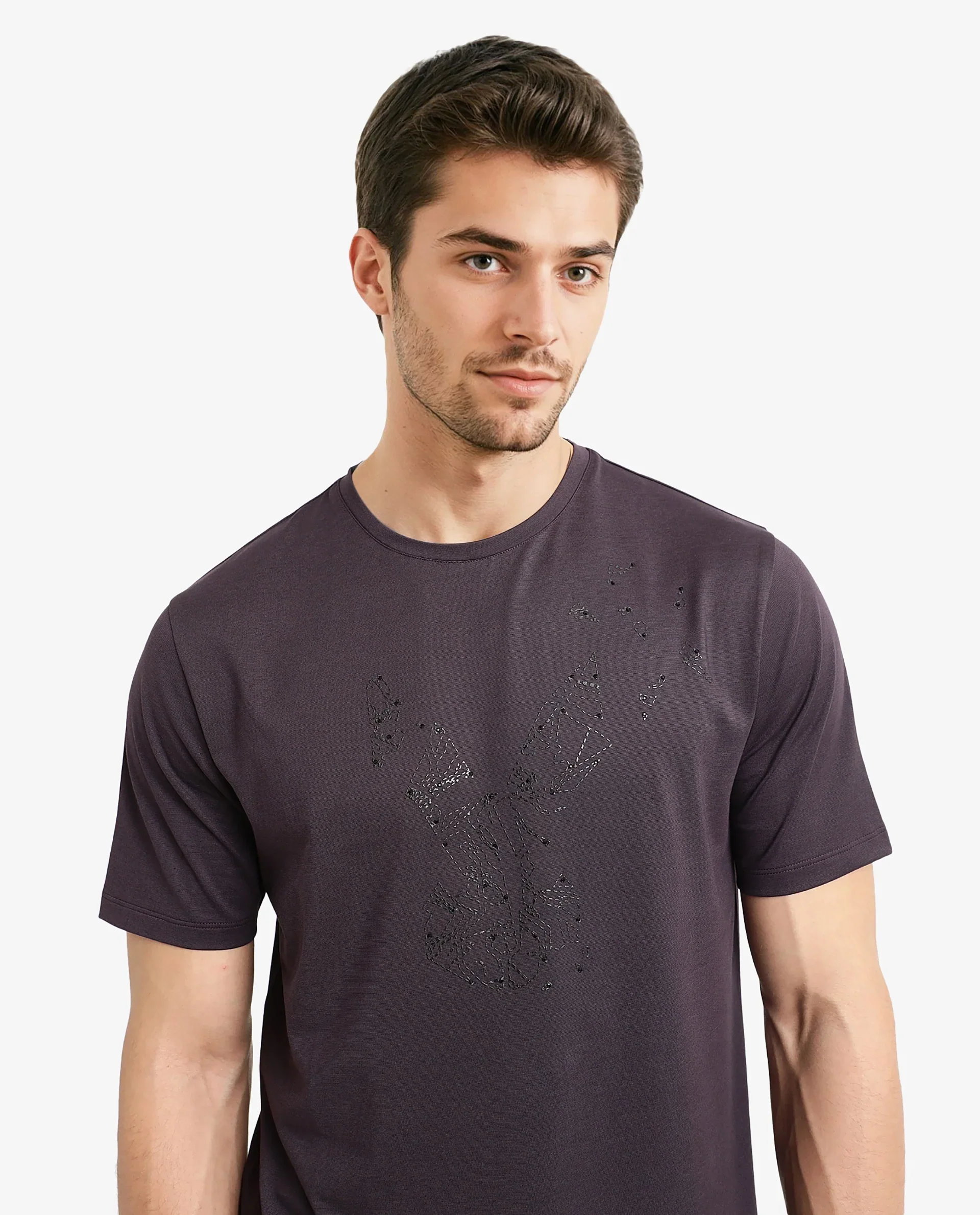 Rare Rabbit Men's Emon Dark Purple Cotton Graphic Print Regular Fit Half Sleeve Crew Neck T-Shirt - Image 5