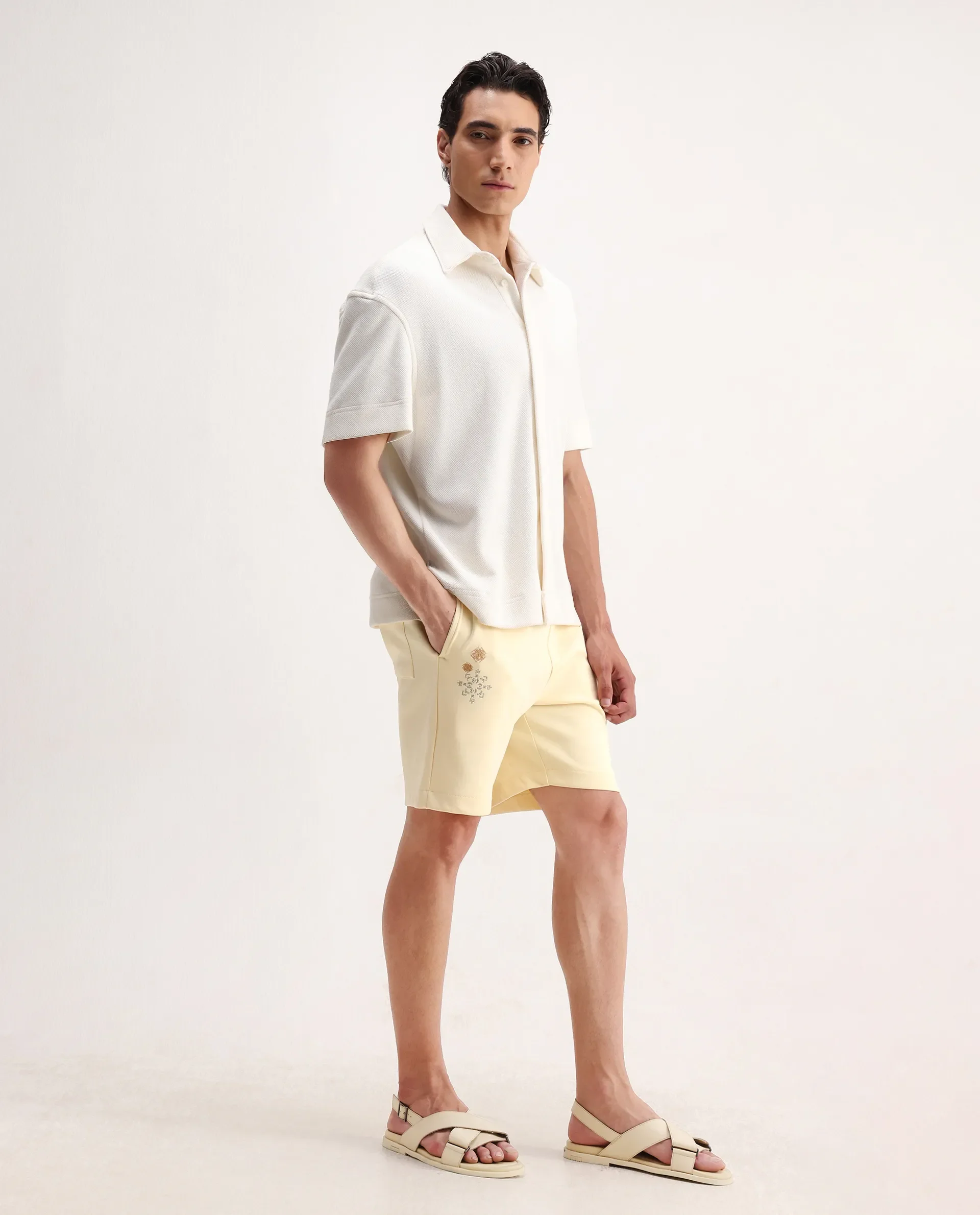 Rare Rabbit Men's Enox Pastel Yellow Cotton Blend Embroidered Regular Fit Shorts - Image 6
