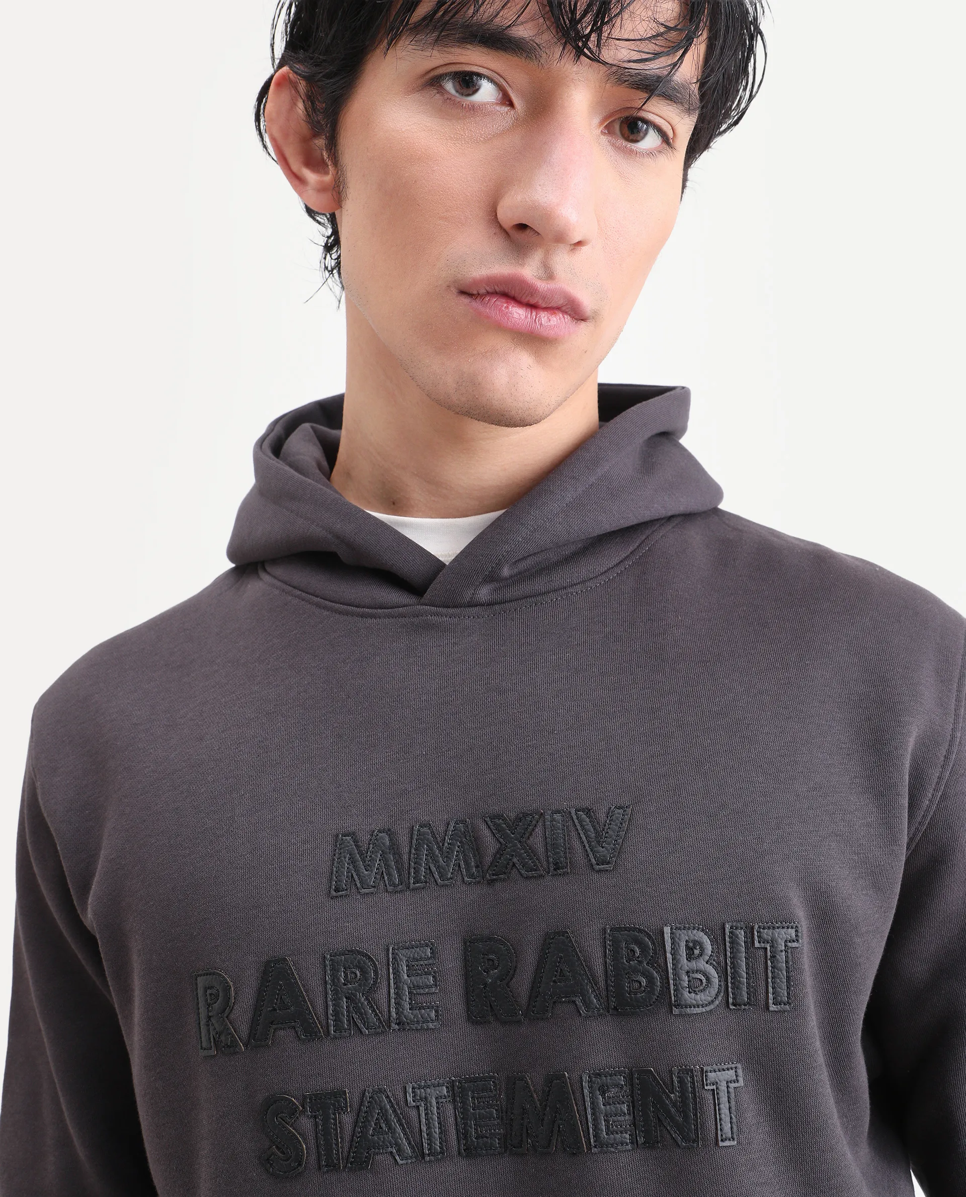 Rare Rabbit Men's Ether Dark Grey Cotton Embroidered Regular Fit Full Sleeve Hooded Sweatshirt - Image 3