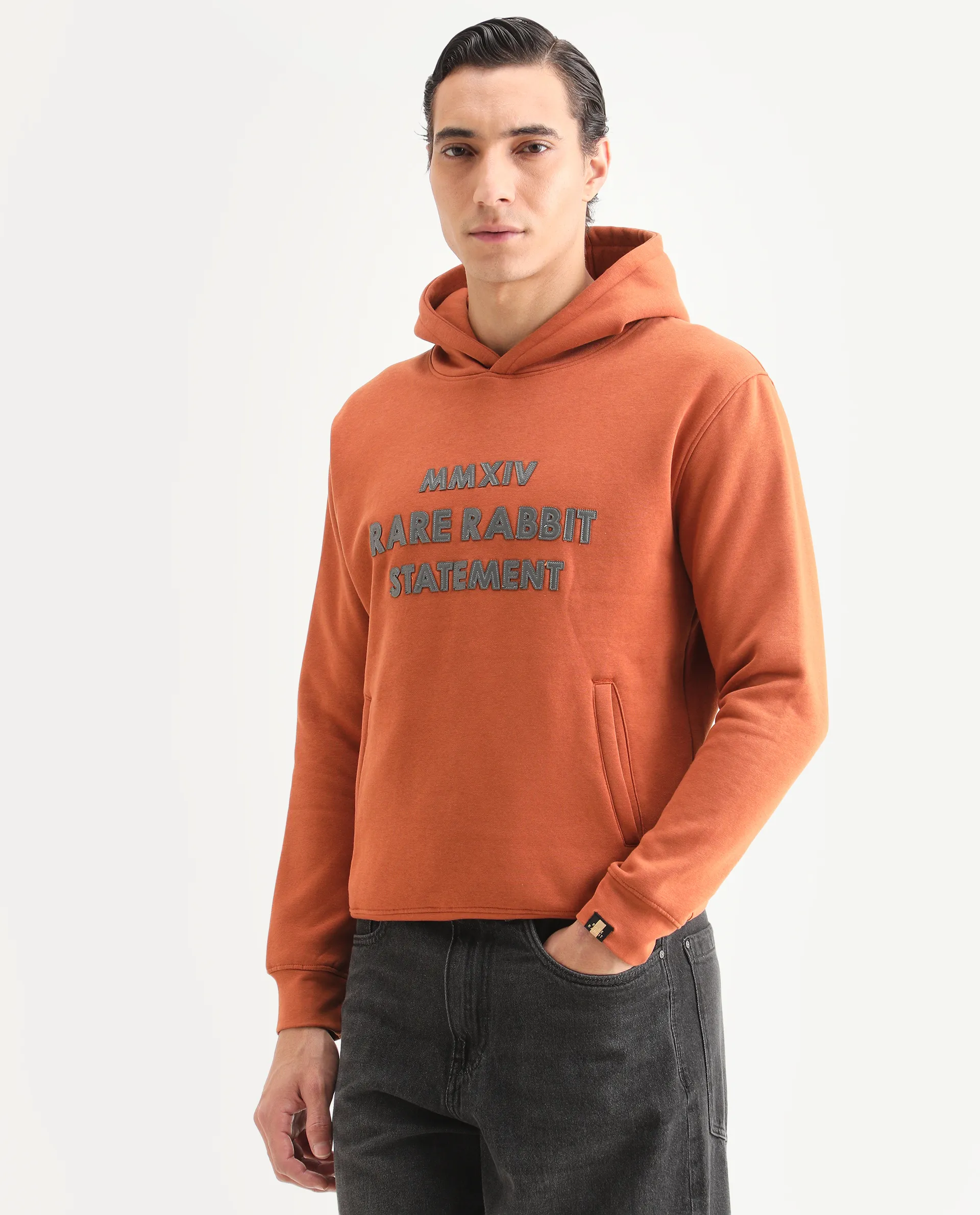 Rare Rabbit Men's Ether Rust Cotton Embroidered Regular Fit Full Sleeve Hooded Sweatshirt - Image 4