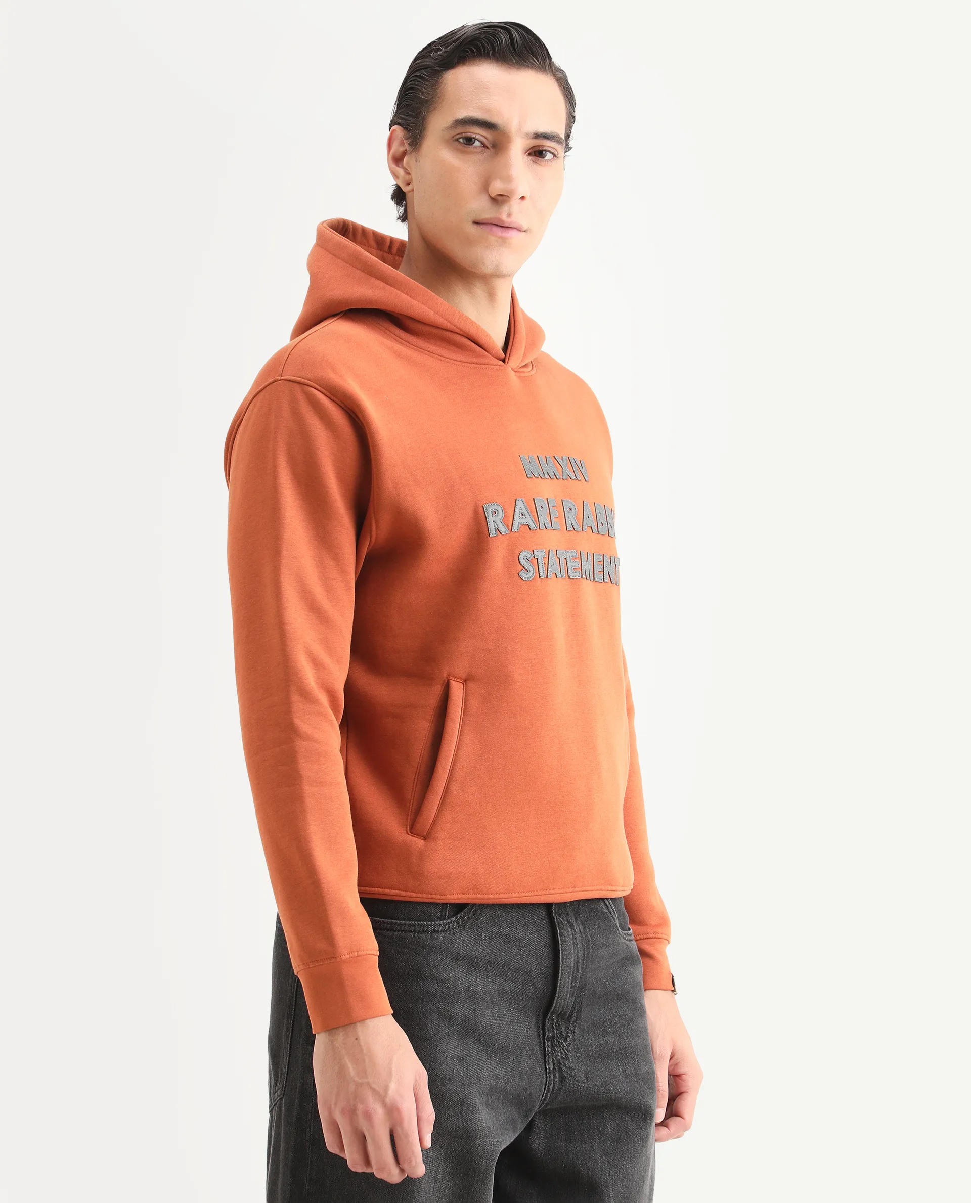 Rare Rabbit Men's Ether Rust Cotton Embroidered Regular Fit Full Sleeve Hooded Sweatshirt - Image 5