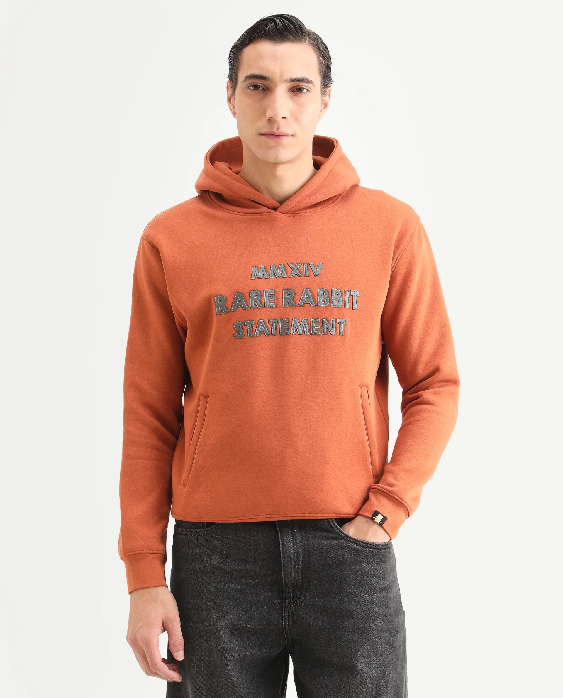 Rare Rabbit Men's Ether Rust Cotton Embroidered Regular Fit Full Sleeve Hooded Sweatshirt - Image 6