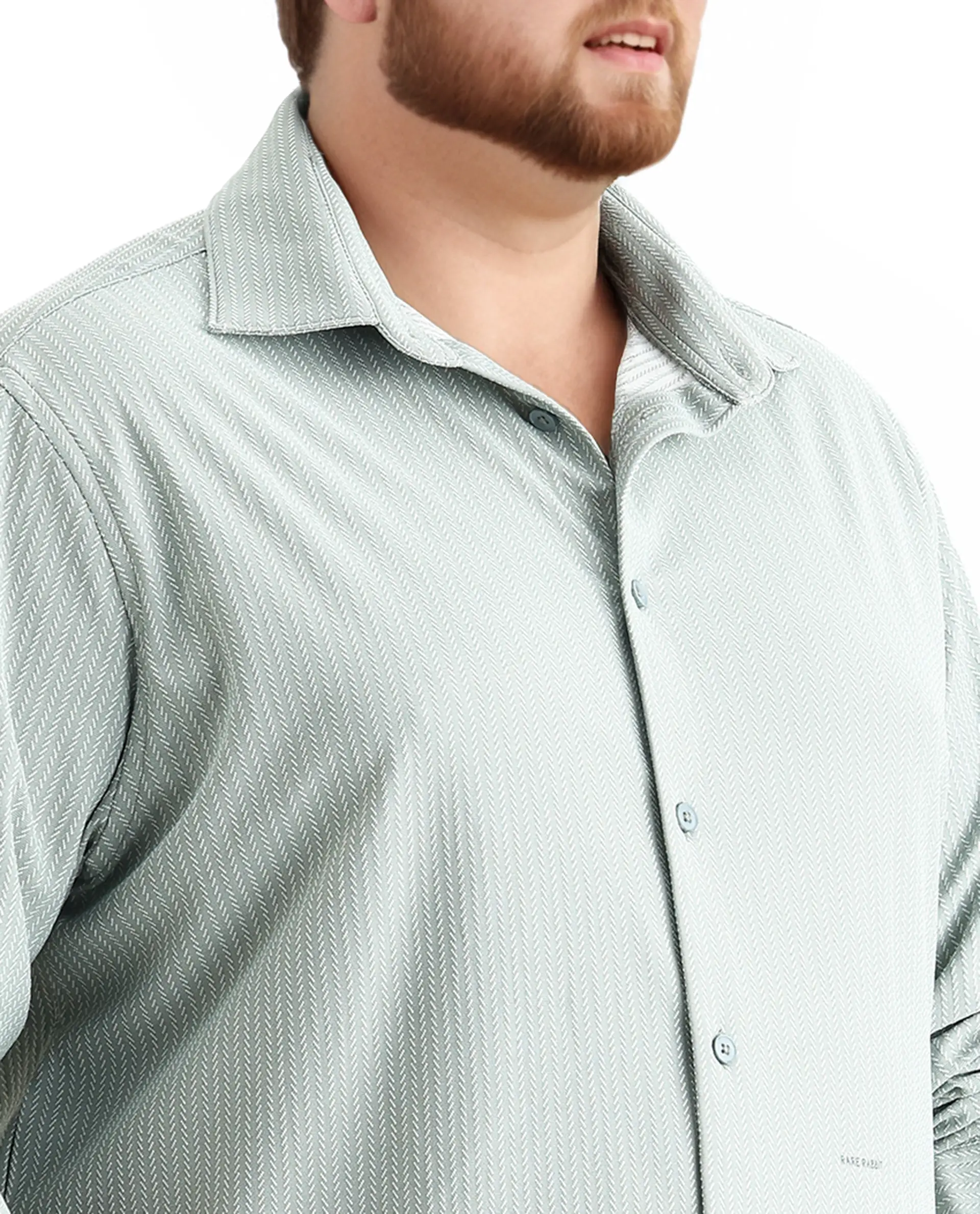 Rare Rabbit Men's Exclop Pastel Green Cotton Fabric Full Sleeves Collared Neck Button Closure Striped Shirt - Image 3