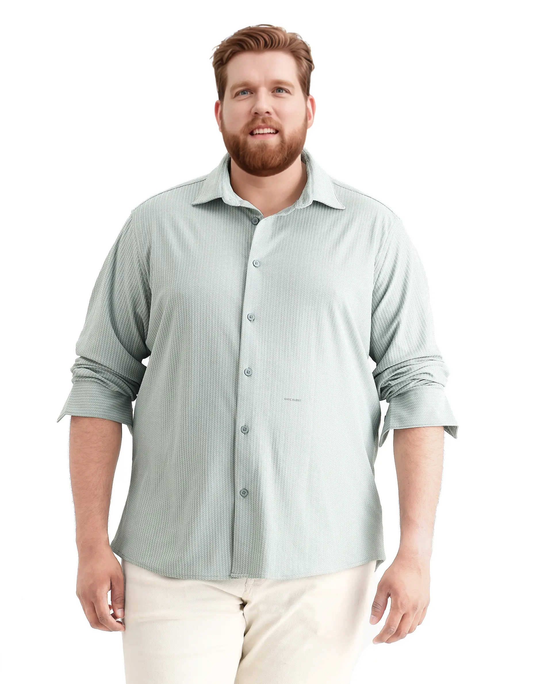 Rare Rabbit Men's Exclop Pastel Green Cotton Fabric Full Sleeves Collared Neck Button Closure Striped Shirt - Image 4