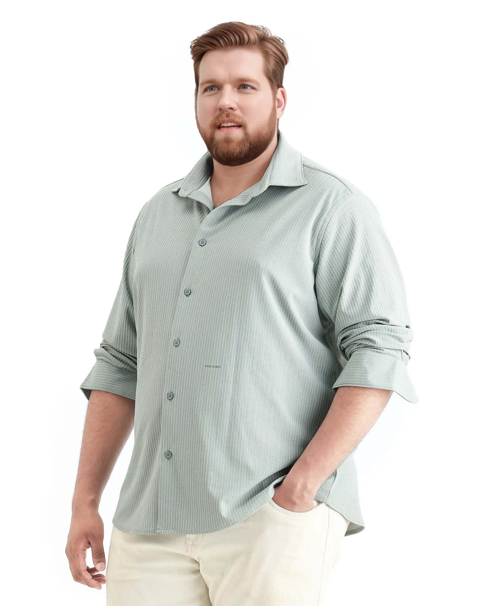Rare Rabbit Men's Exclop Pastel Green Cotton Fabric Full Sleeves Collared Neck Button Closure Striped Shirt - Image 6
