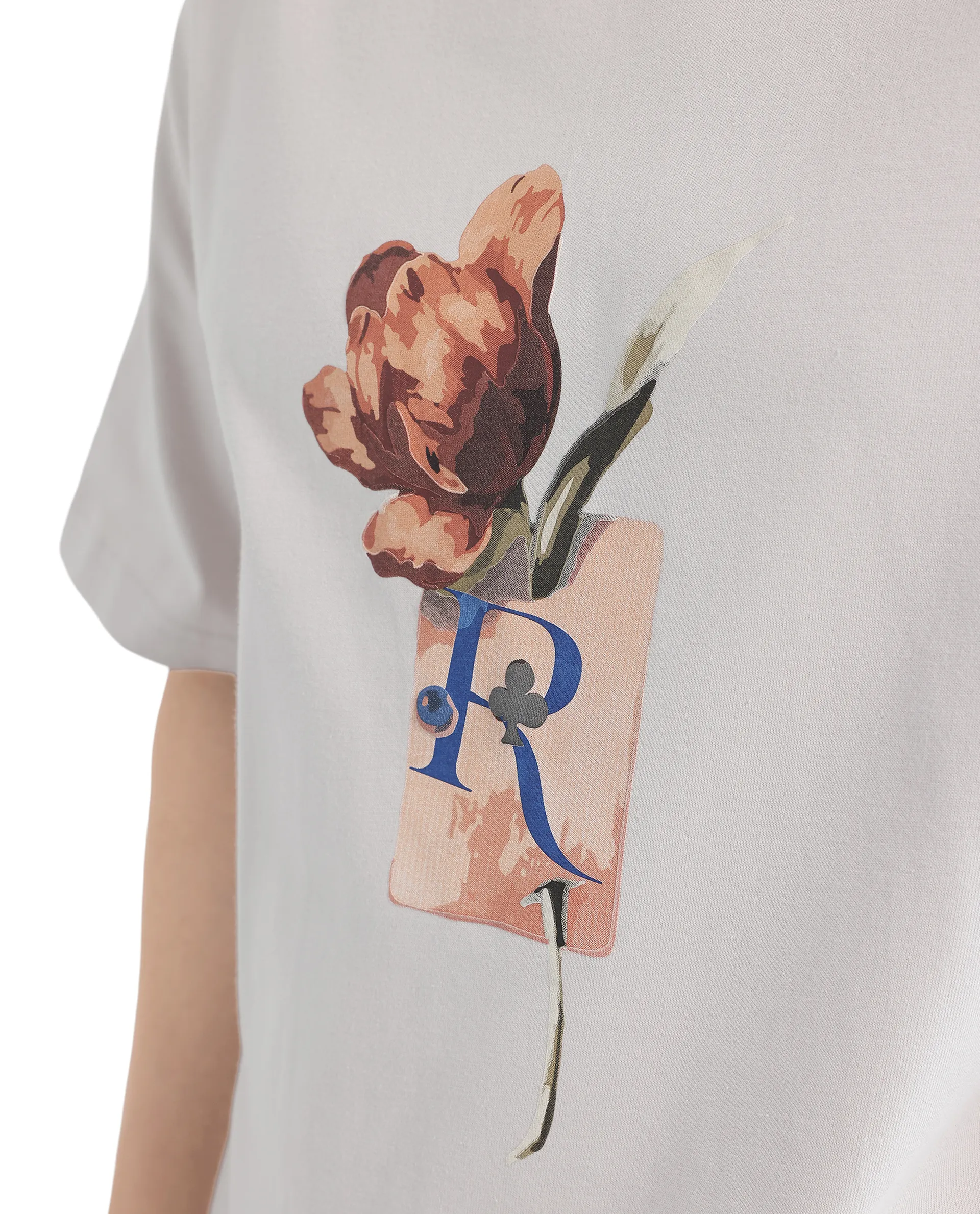 Rare Rabbit Men's Faun Light Grey Cotton Graphic Print Oversized Fit Half Sleeve Crew Neck T-Shirt - Image 7