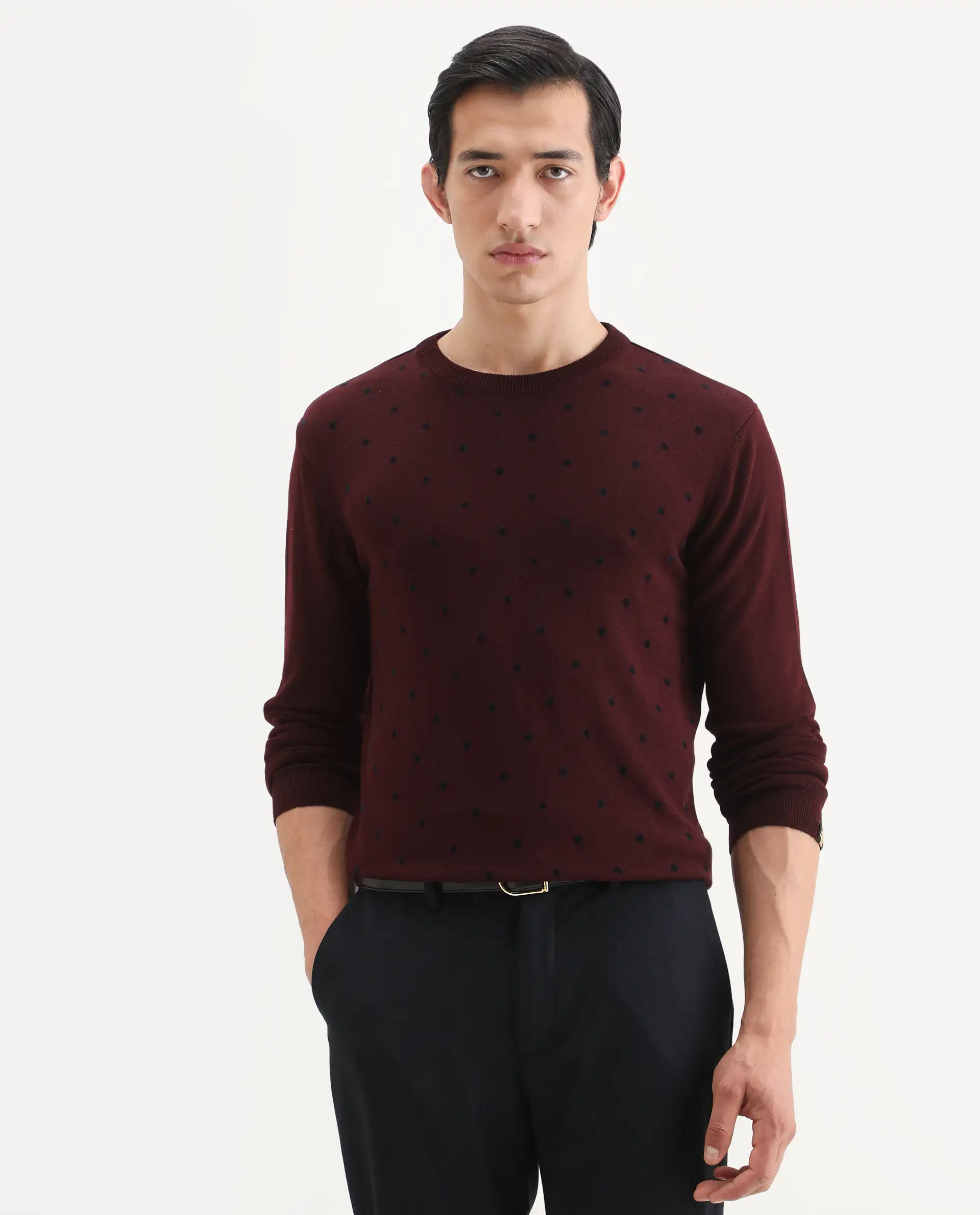 Rare Rabbit Men's Flock Dark Maroon Viscose Polka Print Relaxed Fit Full Sleeve Crew Neck Sweater - Image 4