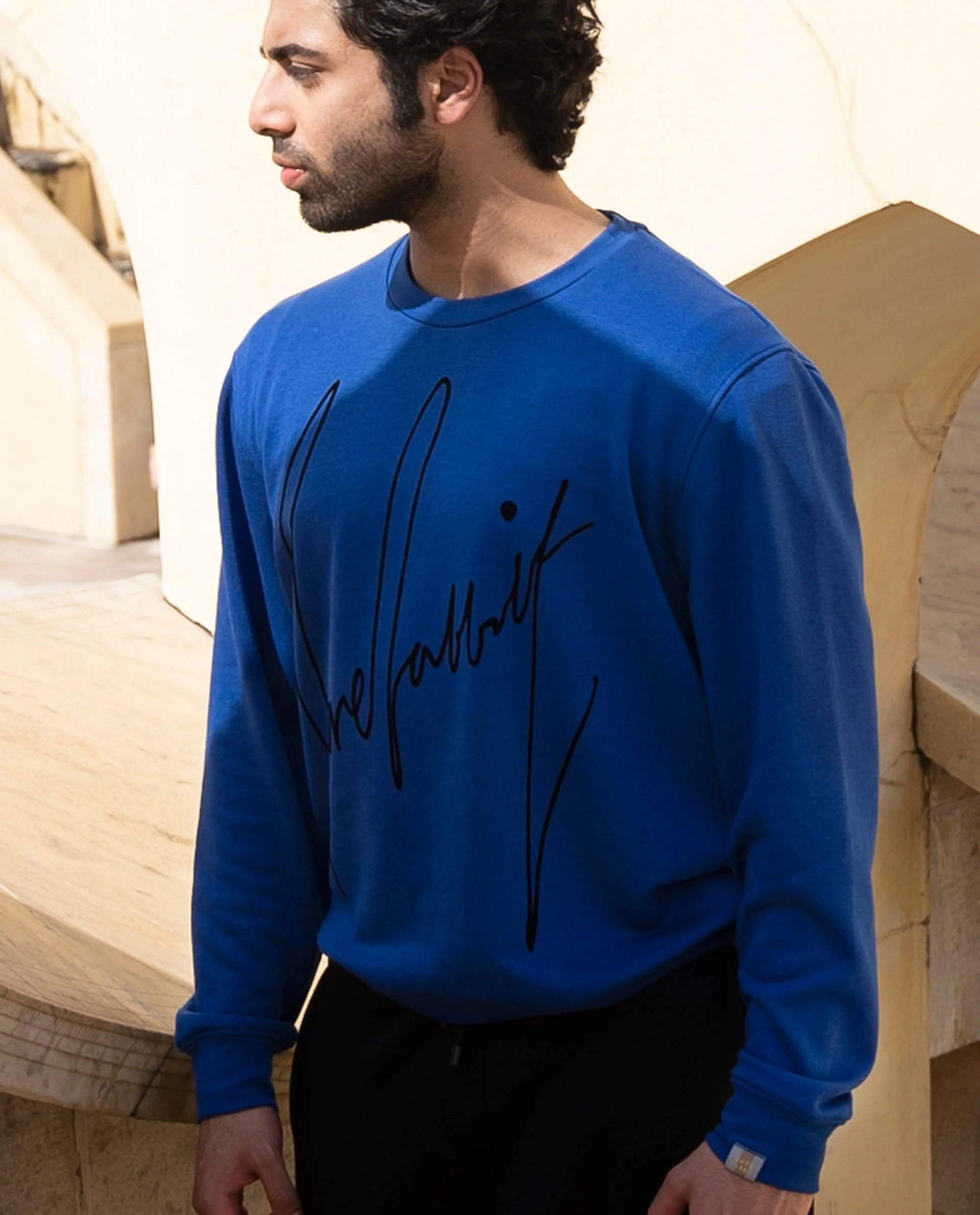 Rare Rabbit Men's Flocker Blue Cotton Graphic Print Regular Fit Full Sleeve Crew Neck Sweatshirt - Image 2