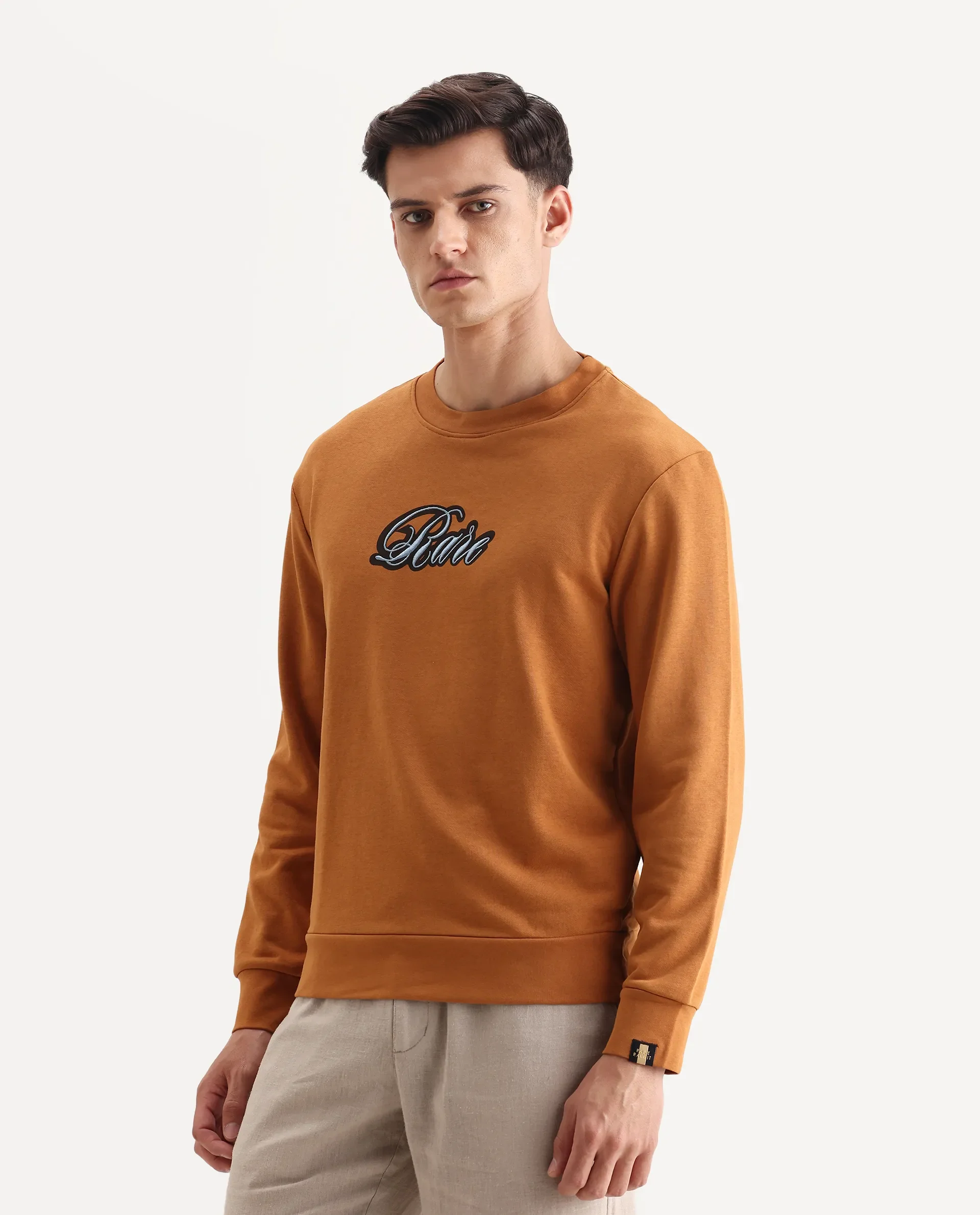 Rare Rabbit Men's Frejus Dusky Orange Cotton Embroidered Regular Fit Full Sleeve Crew Neck Sweatshirt - Image 5