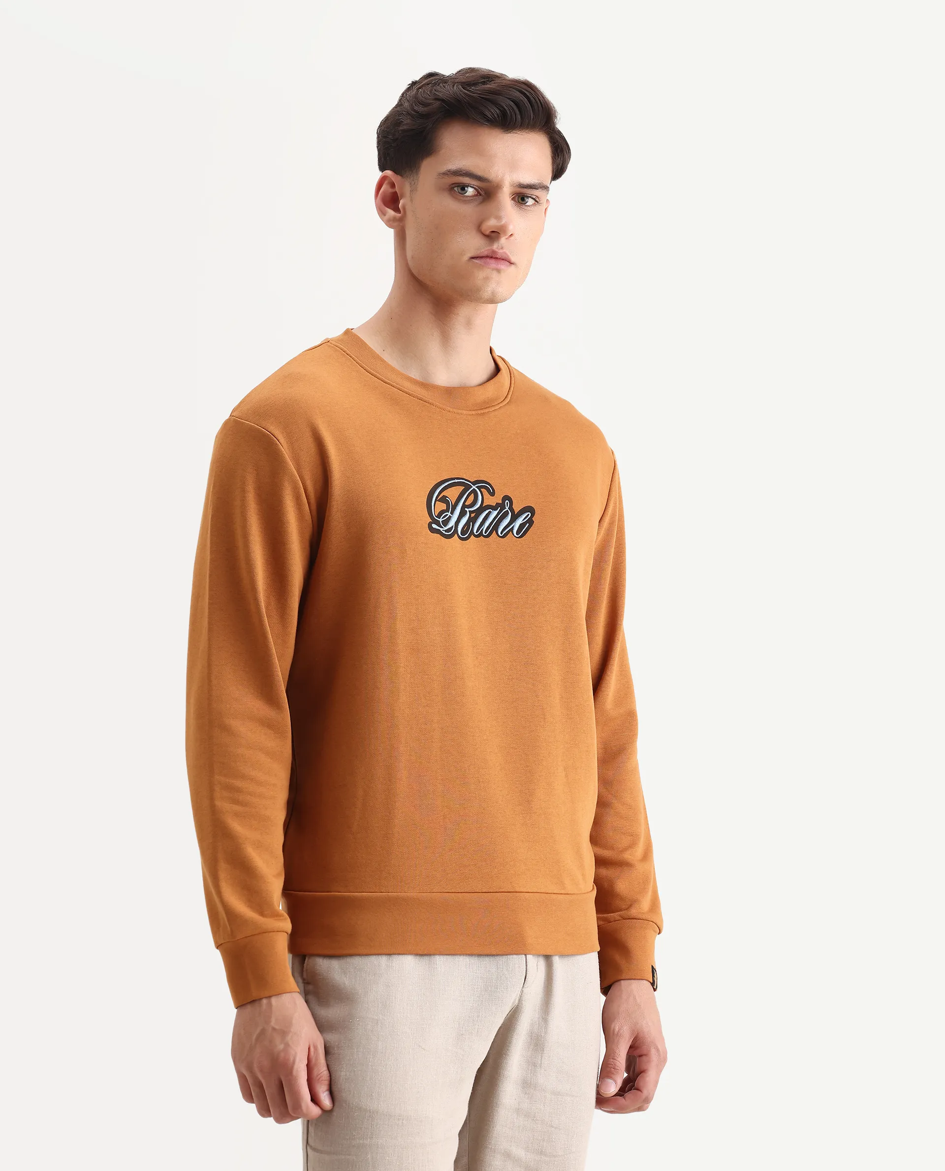 Rare Rabbit Men's Frejus Dusky Orange Cotton Embroidered Regular Fit Full Sleeve Crew Neck Sweatshirt - Image 6