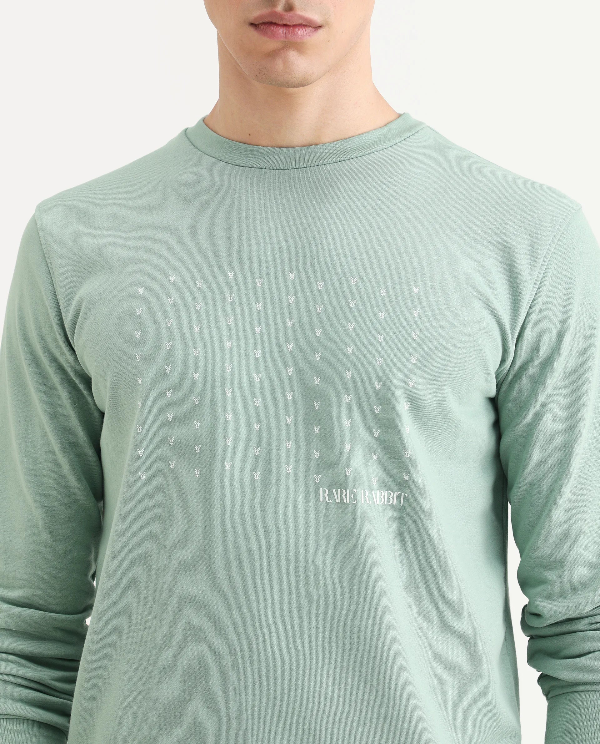 Rare Rabbit Men's Gale Green Cotton Graphic Print Regular Fit Full Sleeve Crew Neck Sweatshirt - Image 4