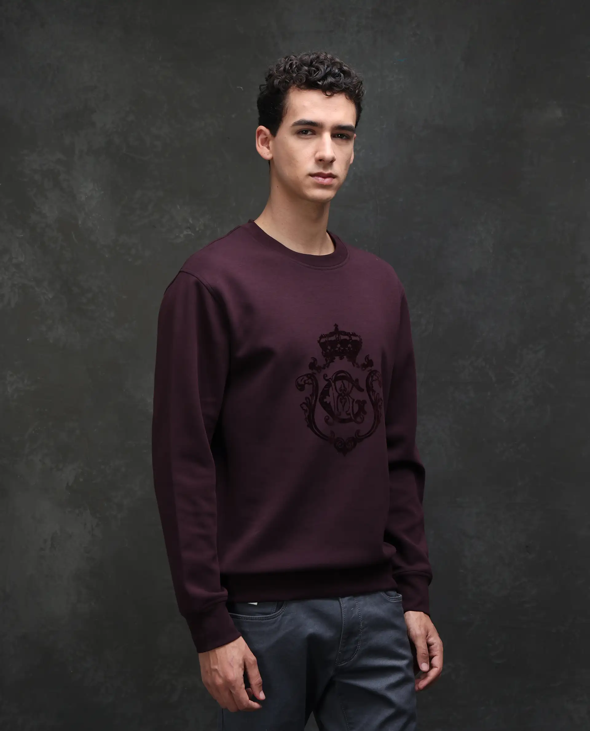 Rare Rabbit Men's Garon Dark Maroon Cotton Blend Graphic Print Relaxed Fit Full Sleeve Crew Neck Sweatshirt - Image 5