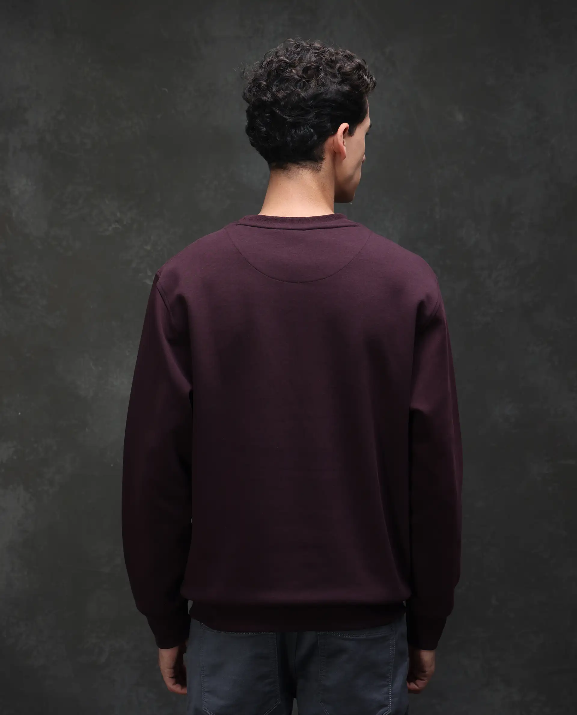 Rare Rabbit Men's Garon Dark Maroon Cotton Blend Graphic Print Relaxed Fit Full Sleeve Crew Neck Sweatshirt - Image 7