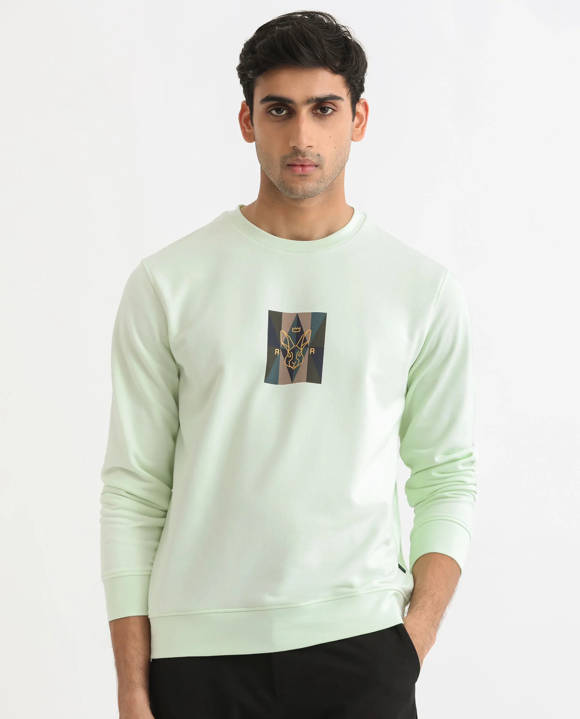 Rare Rabbit Men's Gatlin Green Cotton Graphic Print Regular Fit Full Sleeve Crew Neck Sweatshirt - Image 7