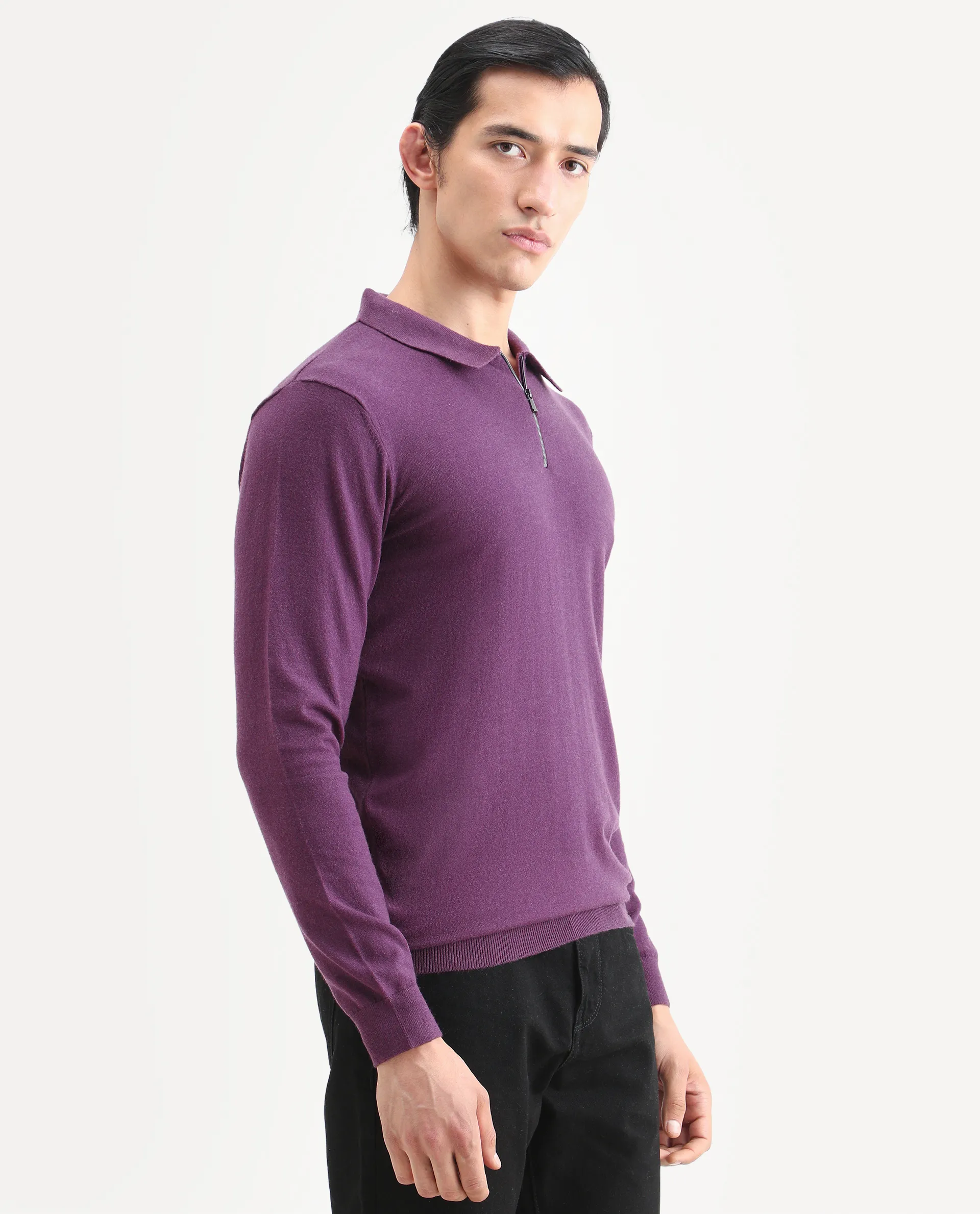 Rare Rabbit Men's Griffin Purple Viscose Plain Regular Fit Full Sleeve Spread Collar Sweater - Image 6