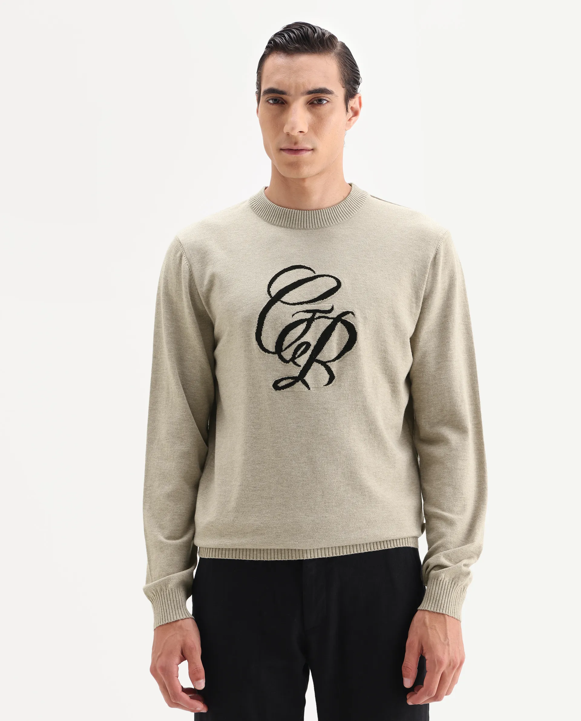 Rare Rabbit Men's Gron Beige Polyester Blend Fabric Full Sleeve Crew Neck Textured Sweater