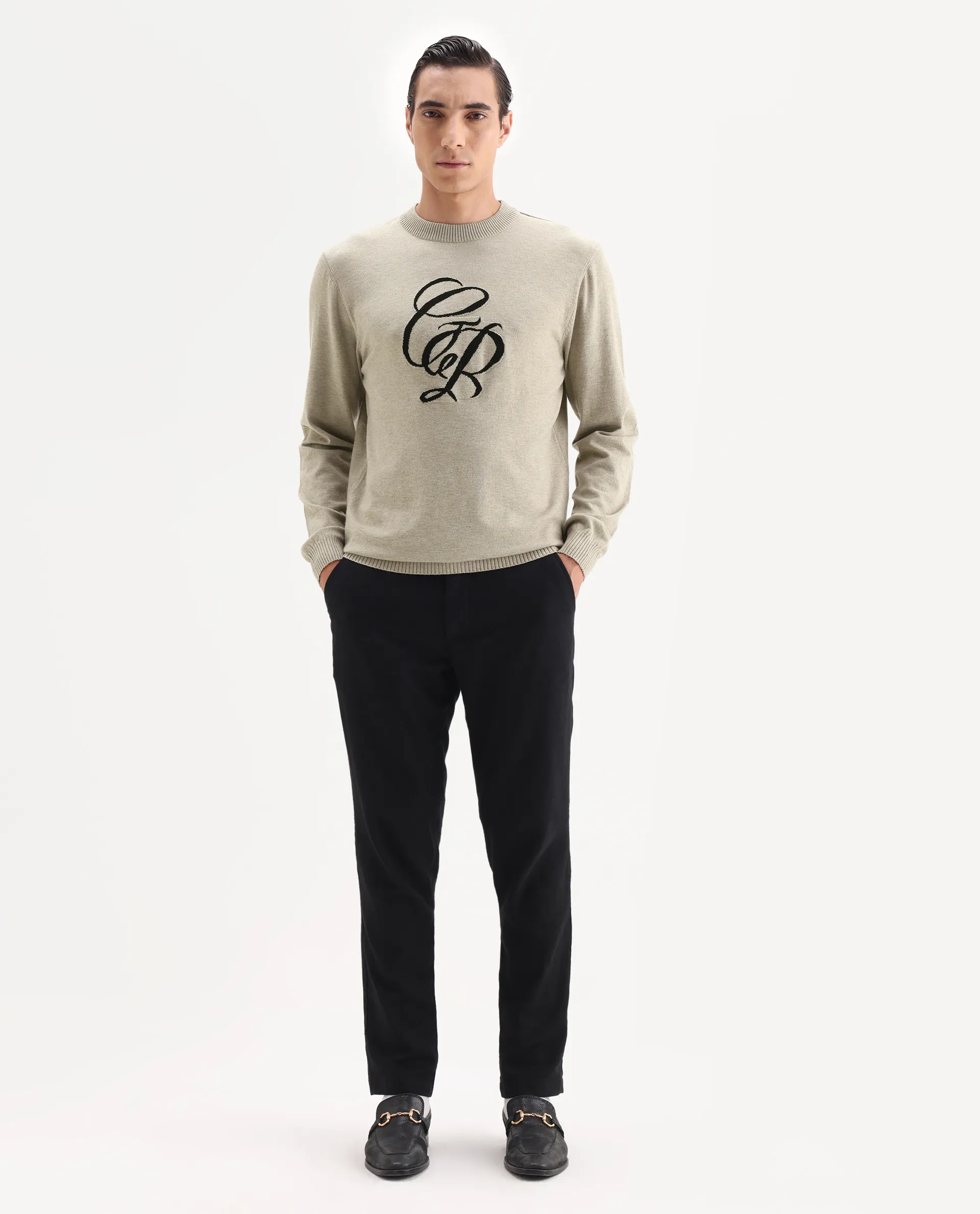 Rare Rabbit Men's Gron Beige Polyester Blend Fabric Full Sleeve Crew Neck Textured Sweater - Image 2