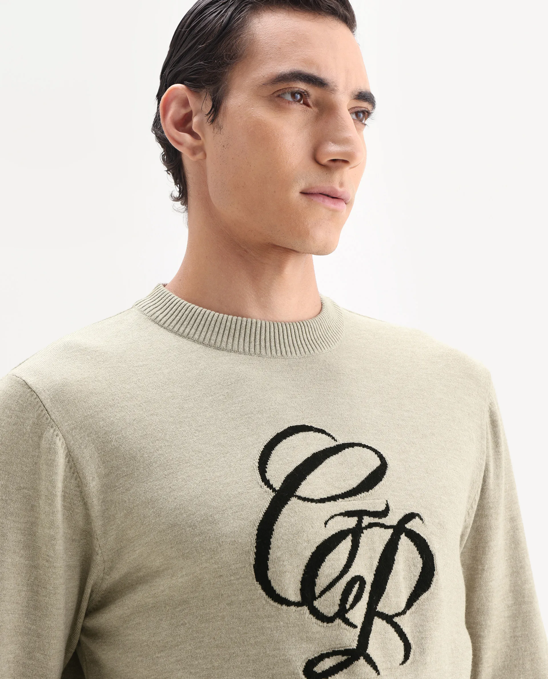 Rare Rabbit Men's Gron Beige Polyester Blend Fabric Full Sleeve Crew Neck Textured Sweater - Image 3