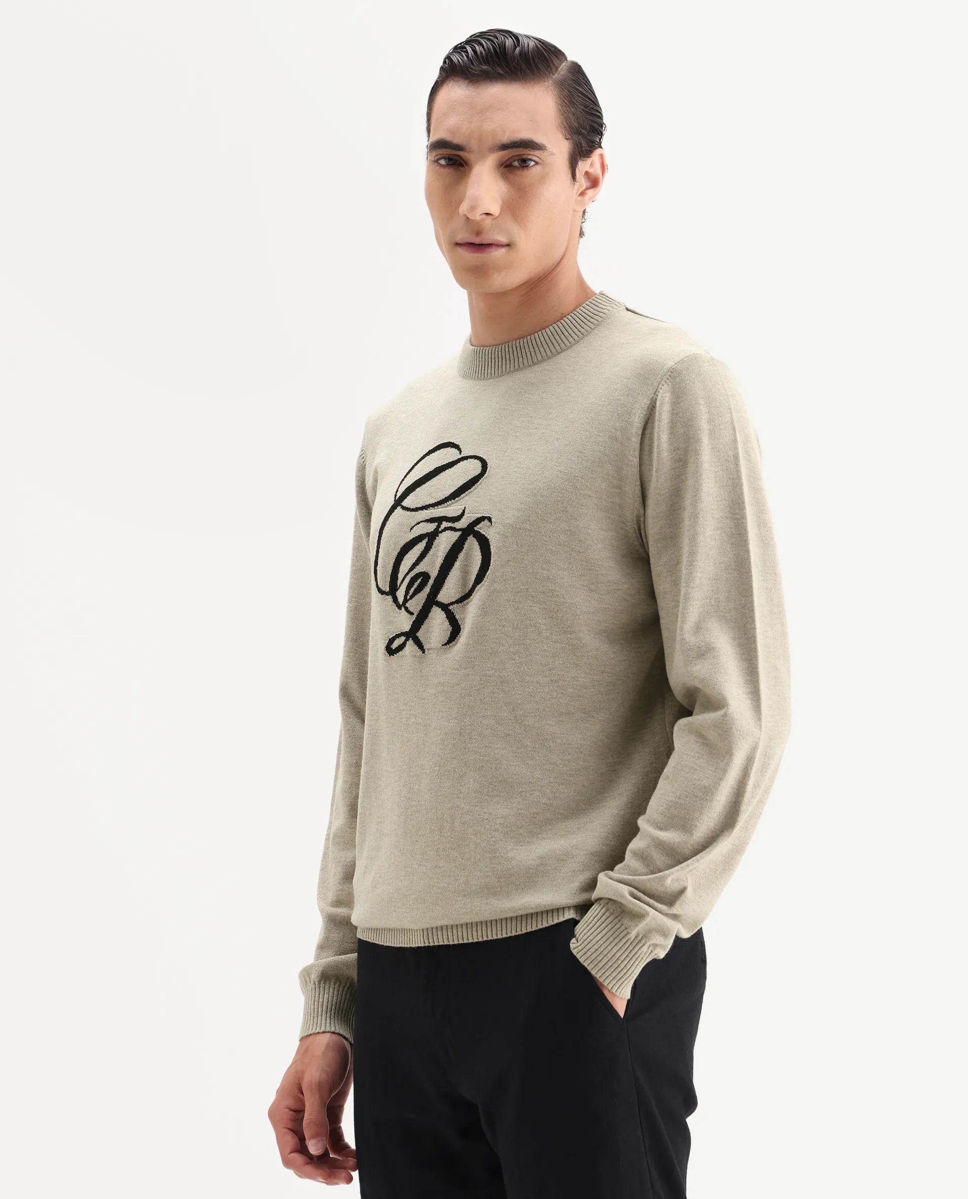 Rare Rabbit Men's Gron Beige Polyester Blend Fabric Full Sleeve Crew Neck Textured Sweater - Image 4