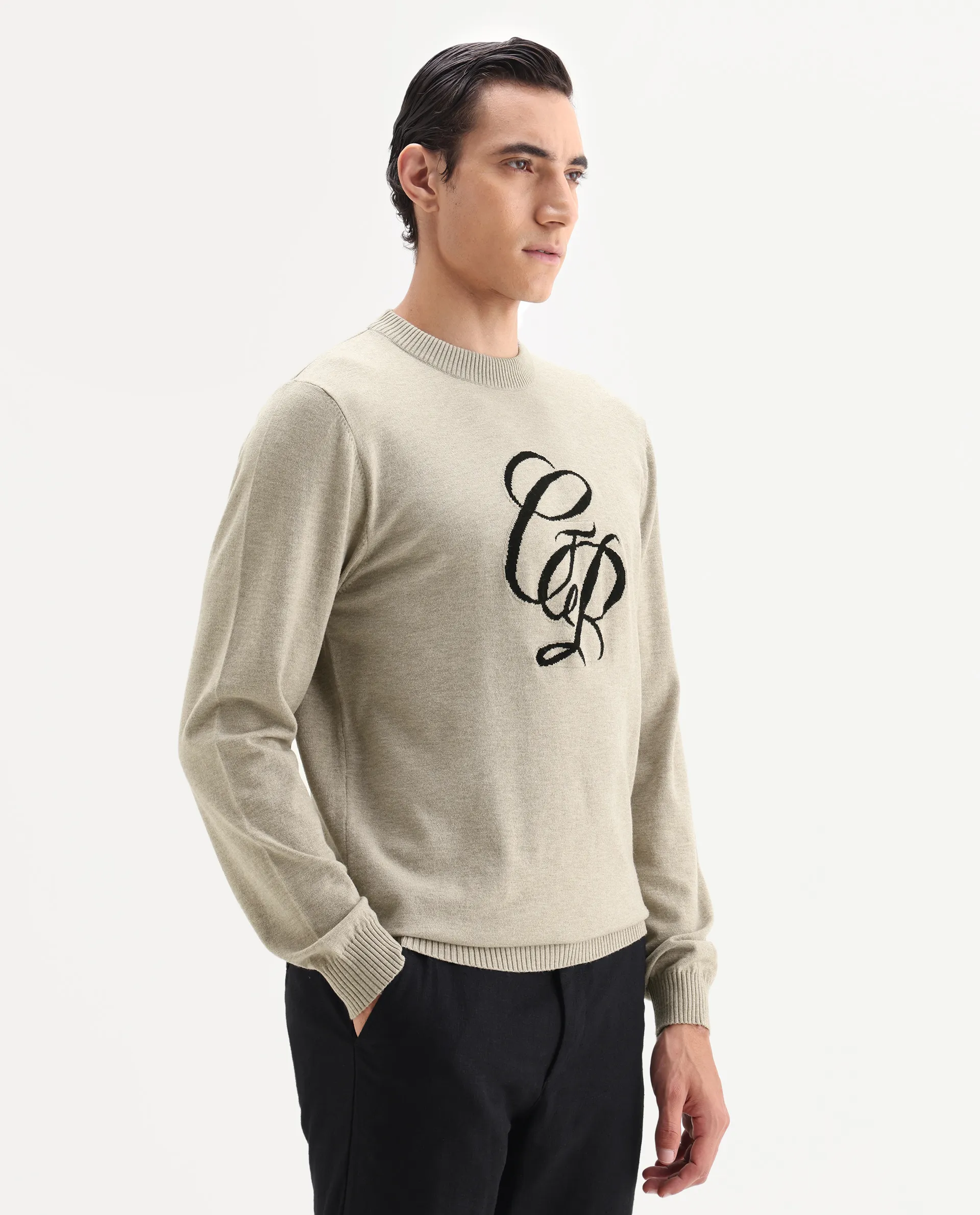 Rare Rabbit Men's Gron Beige Polyester Blend Fabric Full Sleeve Crew Neck Textured Sweater - Image 5