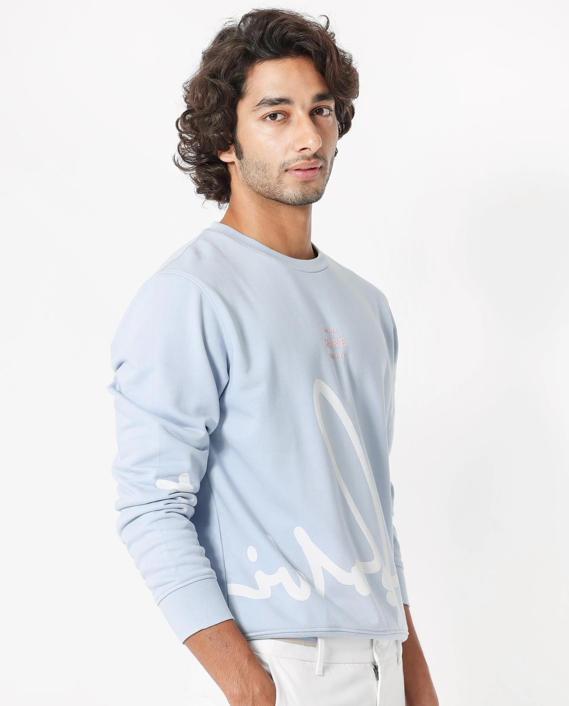 Rare Rabbit Men's Halsey Light Blue Cotton Graphic Print Relaxed Fit Full Sleeve Crew Neck Sweatshirt - Image 7