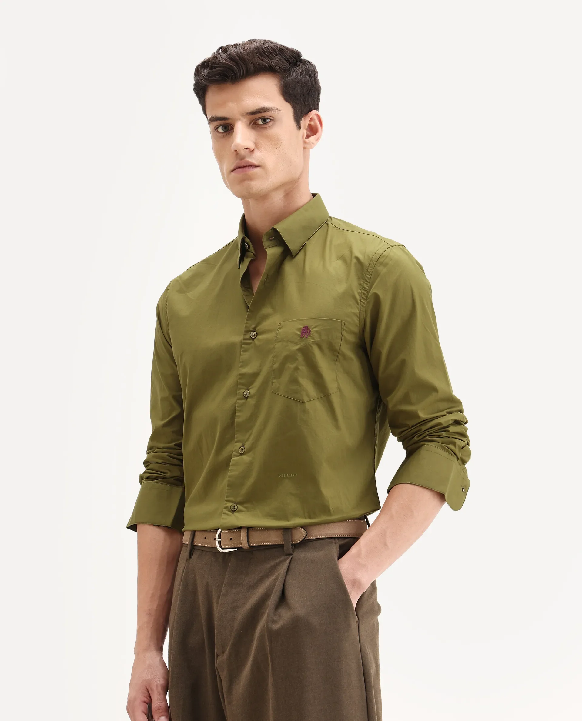 Rare Rabbit Men's Harmin Light Olive Cotton Embroidered Regular Fit Full Sleeve Collared Shirt - Image 6