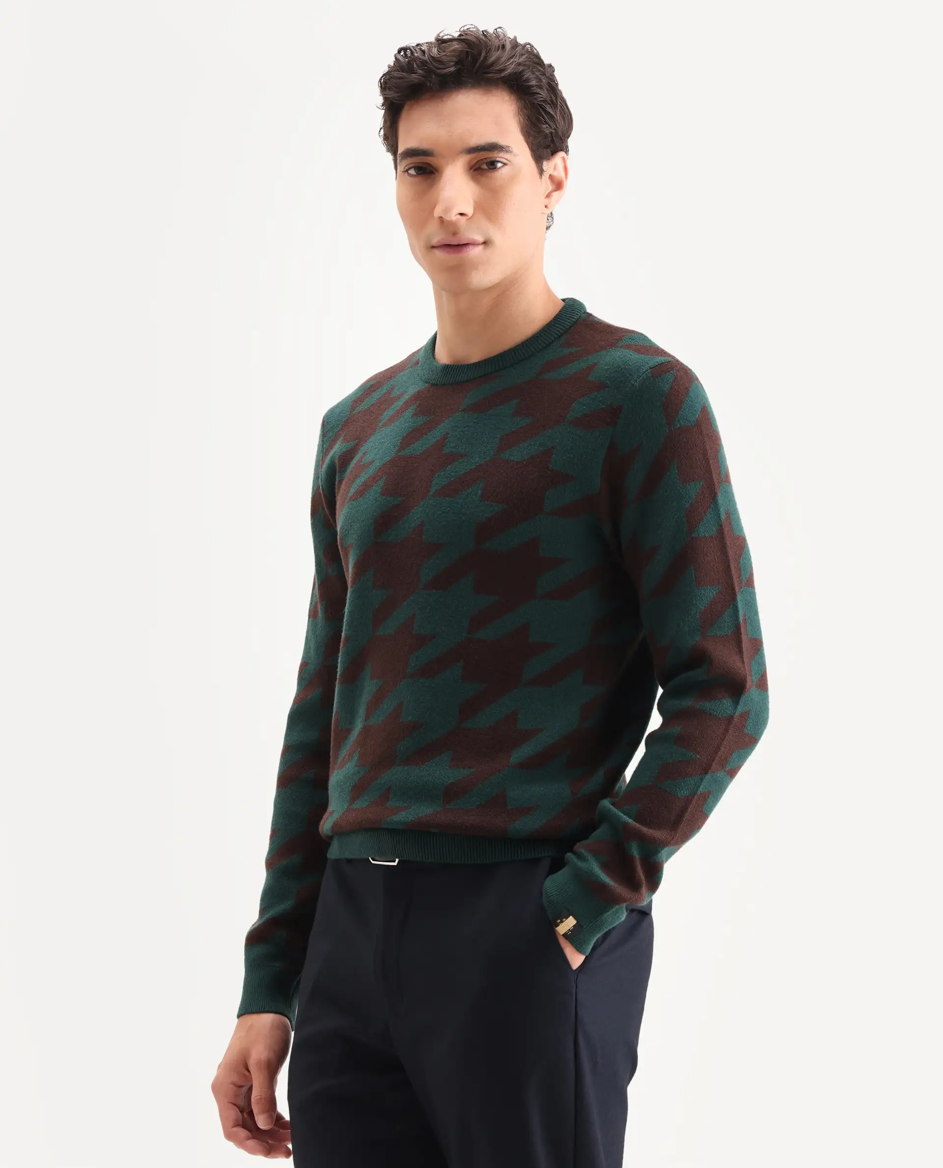 Rare Rabbit Men's Honder Dark Green Viscose Jacquard Relaxed Fit Full Sleeve Crew Neck Sweater - Image 5