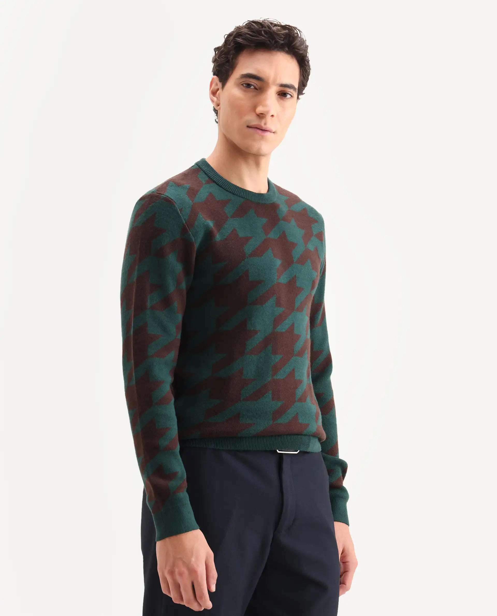 Rare Rabbit Men's Honder Dark Green Viscose Jacquard Relaxed Fit Full Sleeve Crew Neck Sweater - Image 6