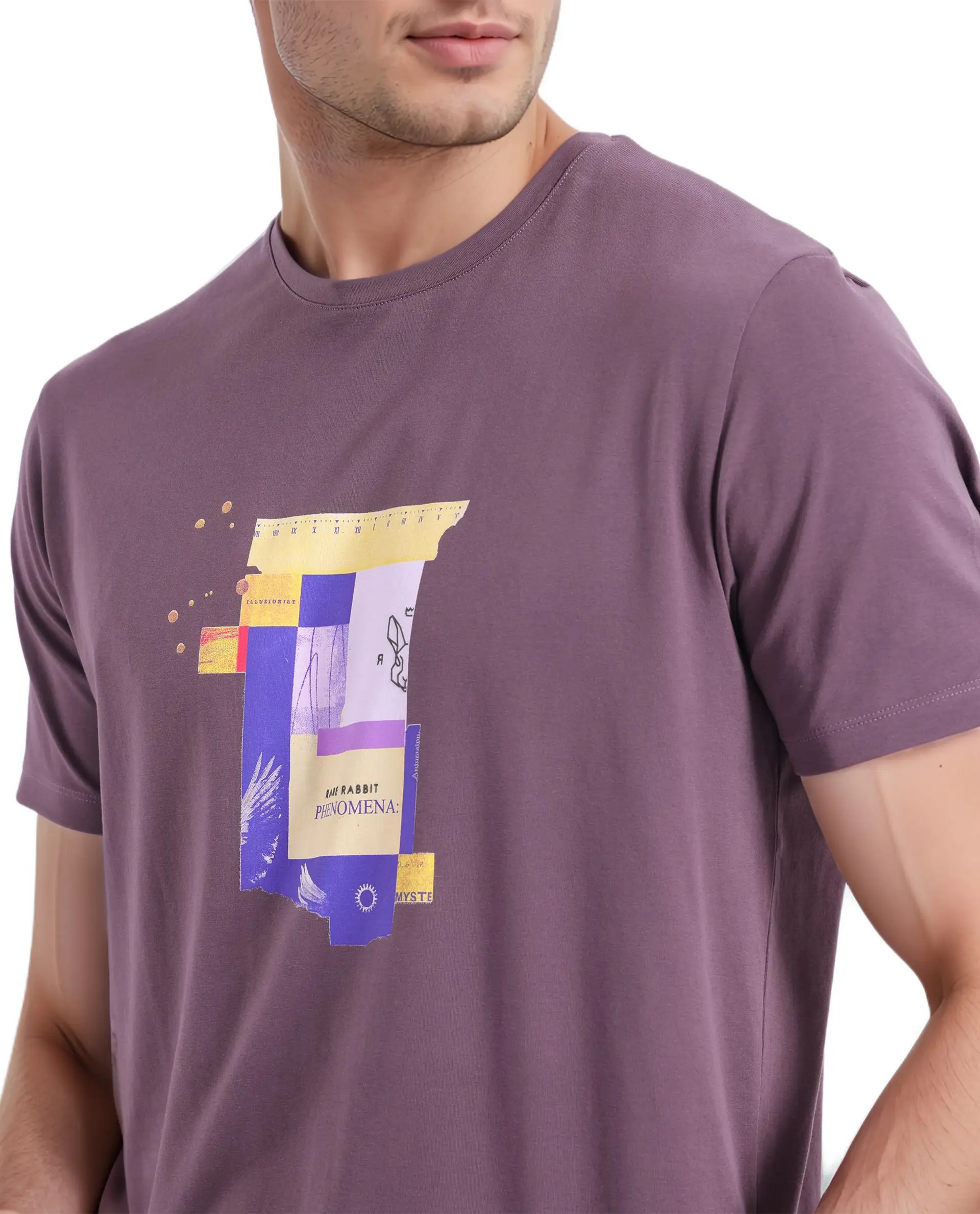 Rare Rabbit Men's Jaceb Dusky Purple Cotton Graphic Print Regular Fit Half Sleeve Crew Neck T-Shirt - Image 3