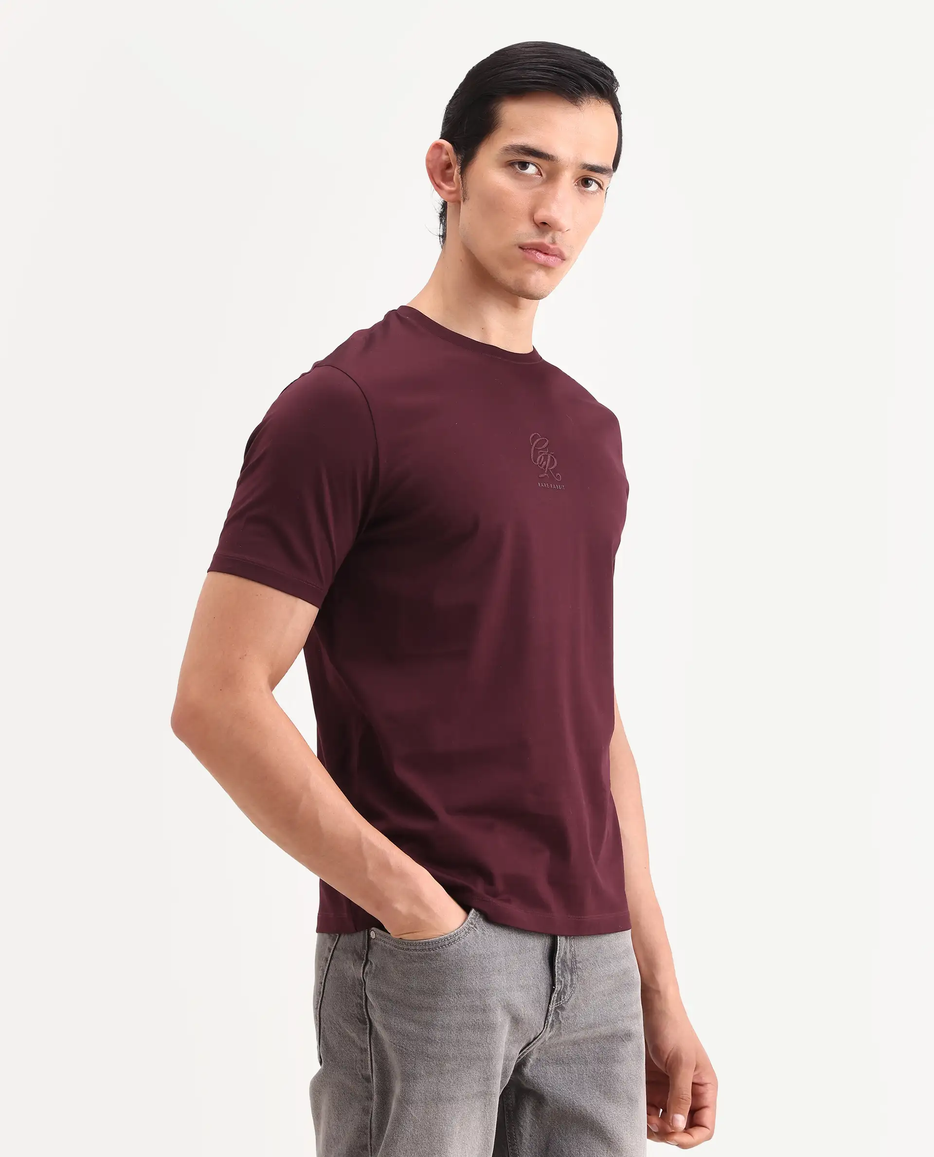 Rare Rabbit Men's Ject-S26 Maroon Cotton Fabric Half Sleeve Crew Neck Regular Fit Embroidered T-Shirt - Image 6