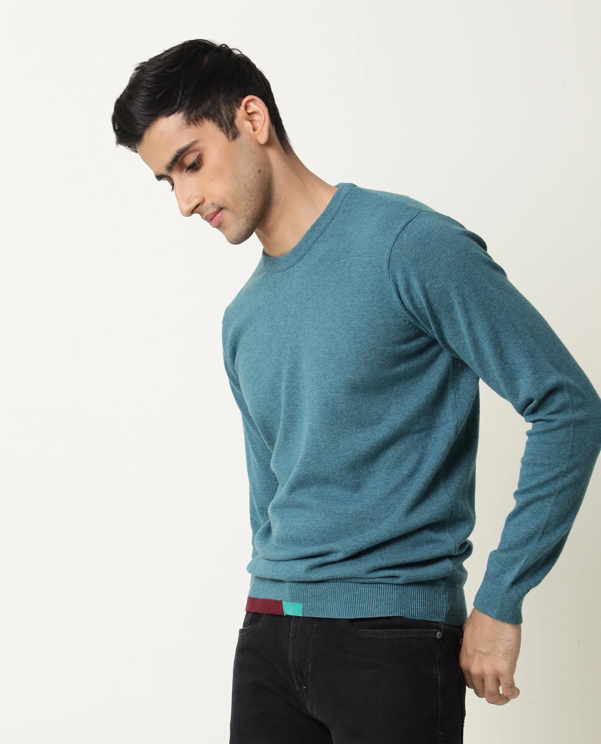 Rare Rabbit Men's Jody Blue Cotton Plain Slim Fit Full Sleeve Crew Neck Sweater - Image 5