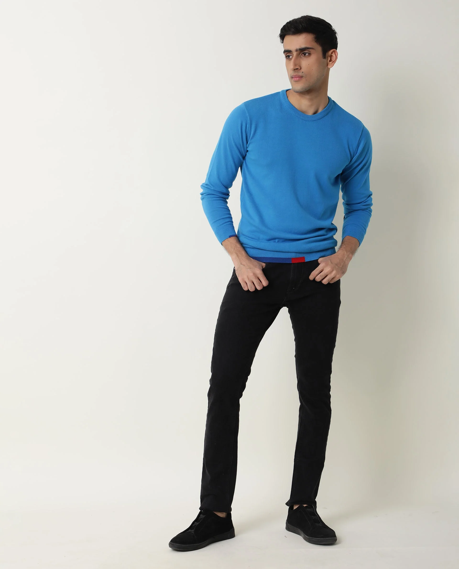 Rare Rabbit Men's Jody Turq Cotton Plain Slim Fit Full Sleeve Crew Neck Sweater - Image 6