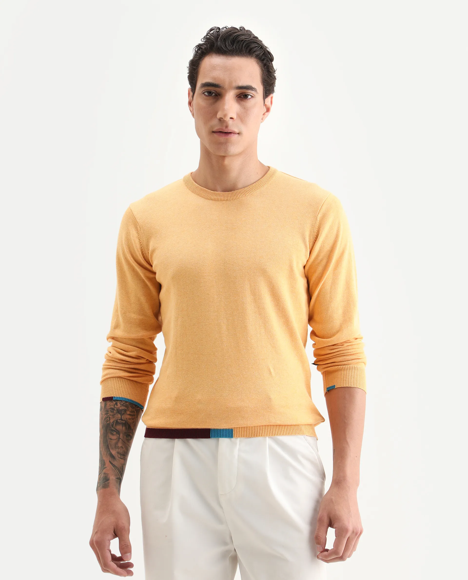 Rare Rabbit Men's Jody Yellow Cotton Plain Slim Fit Full Sleeve Crew Neck Sweater - Image 3